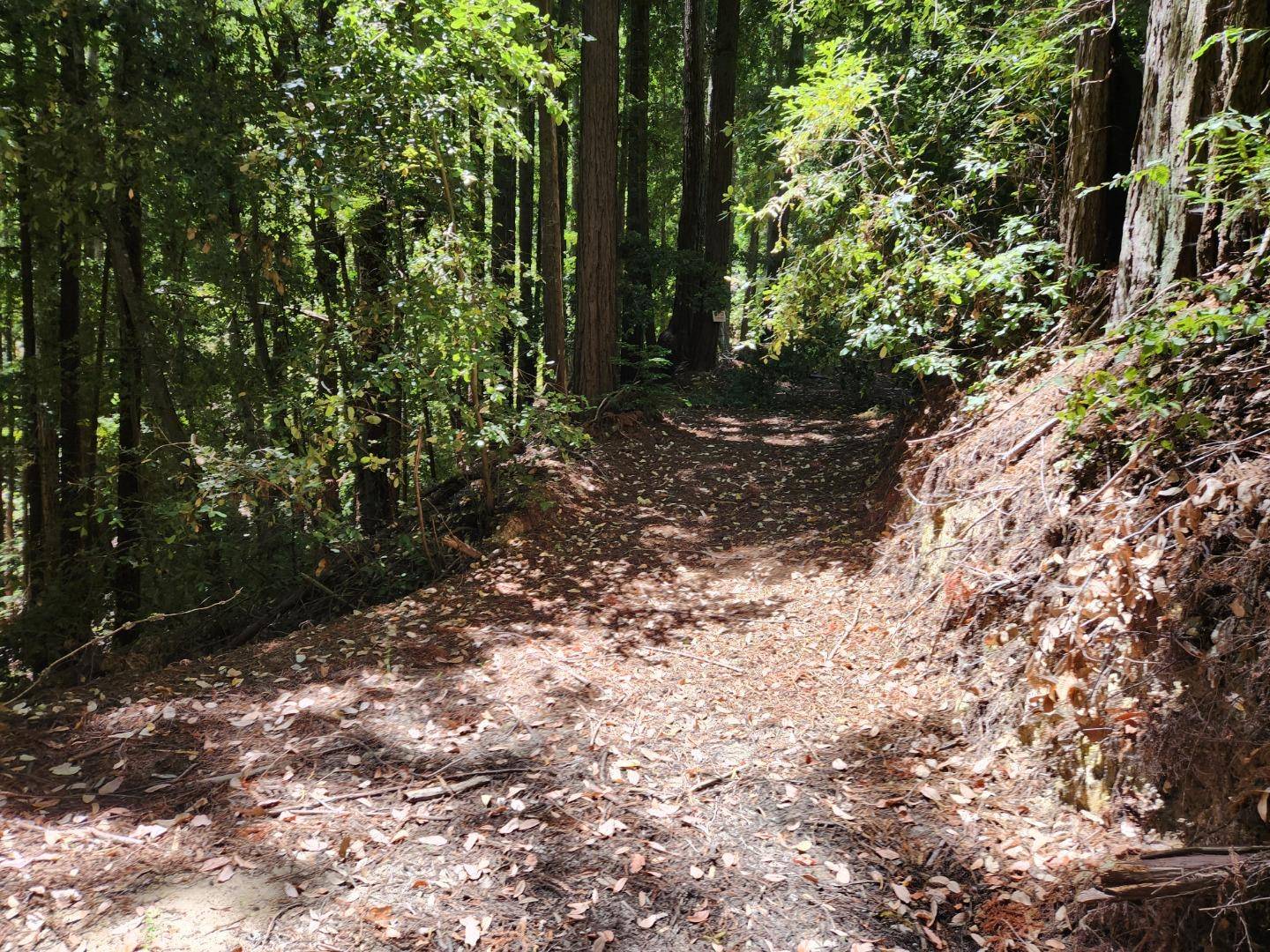 Boulder Creek, CA 95006,510 East Road