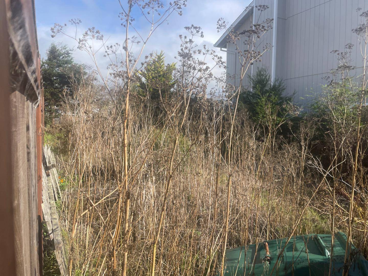 Half Moon Bay, CA 94019,345 Granelli Avenue