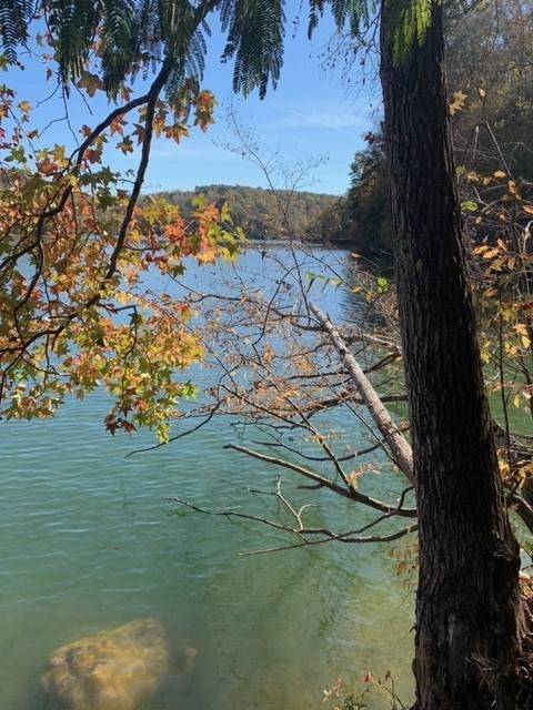 Estill Springs, TN 37330,0 Grandview Lake Rd Lot 4