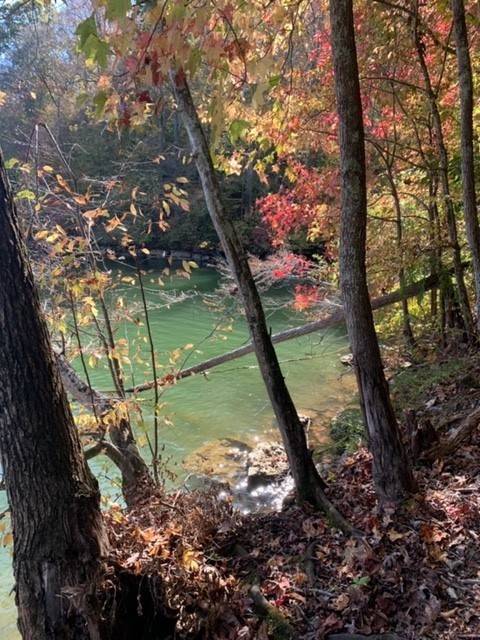 Estill Springs, TN 37330,0 Grandview Lake Rd Lot 4