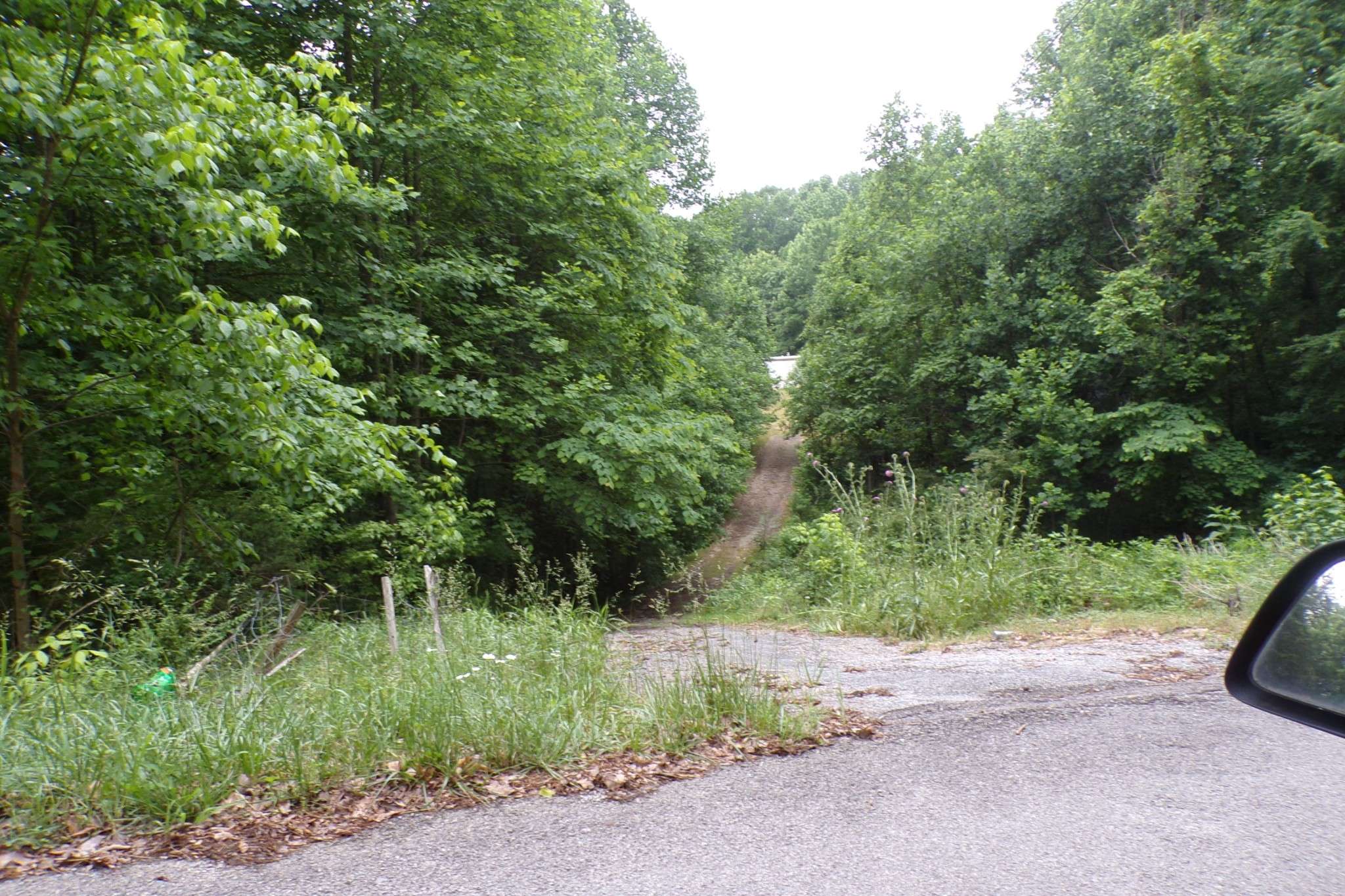 Pulaski, TN 38478,226 Sands Hollow Rd