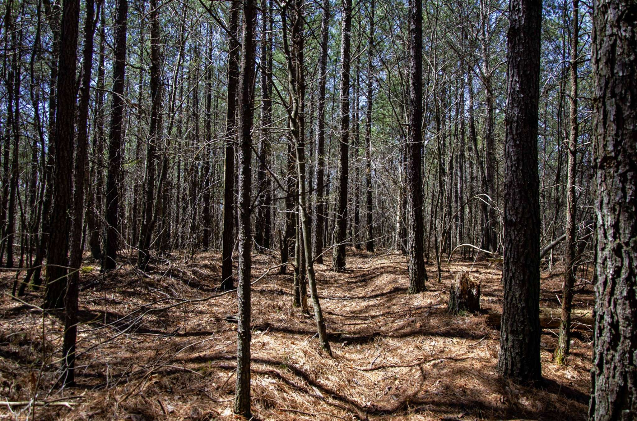 Spencer, TN 38585,0 Country Side Ln Lot #51