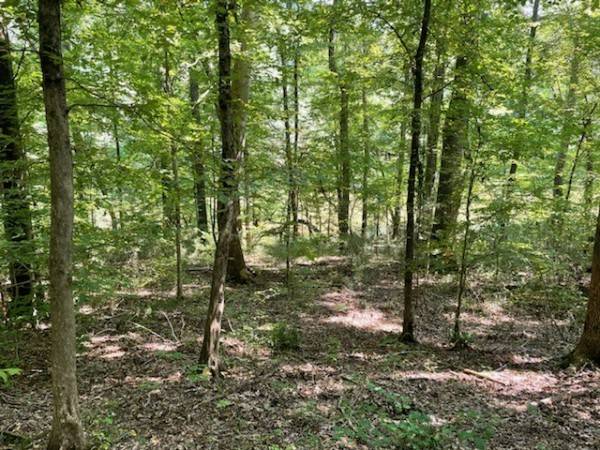 Clifton, TN 38425,0 Shirley Bates Dr