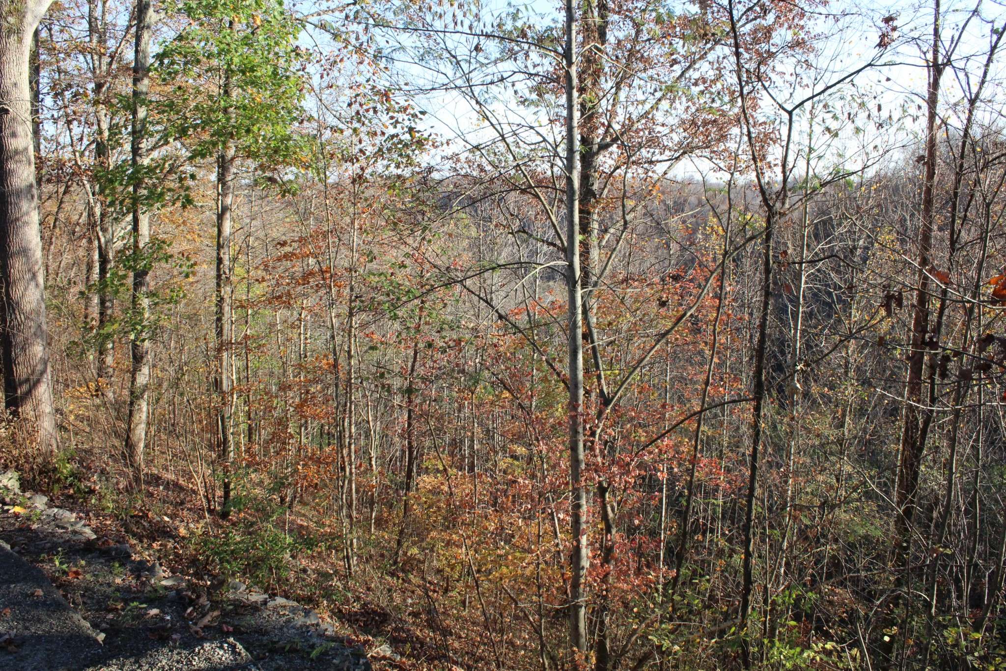 Silver Point, TN 38582,15570 Center Hill Dam Rd