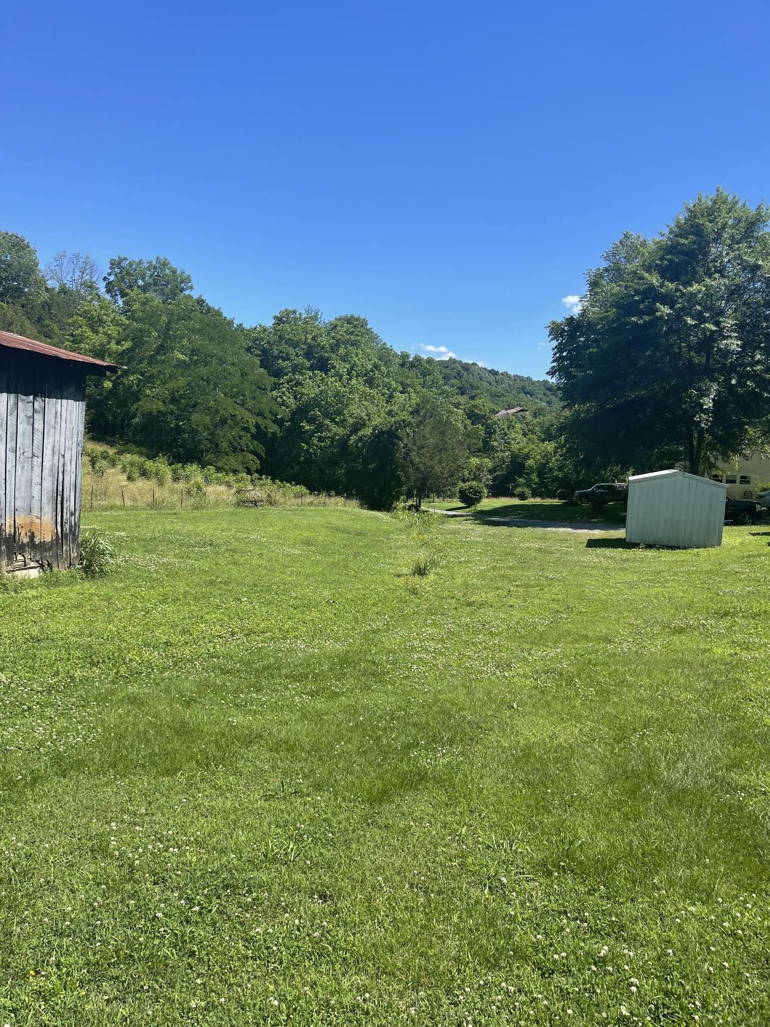 Dixon Springs, TN 37057,281 Spivey Hollow Ln