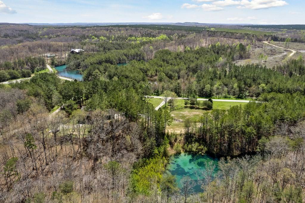 Spencer, TN 38585,0 Long Branch Rd