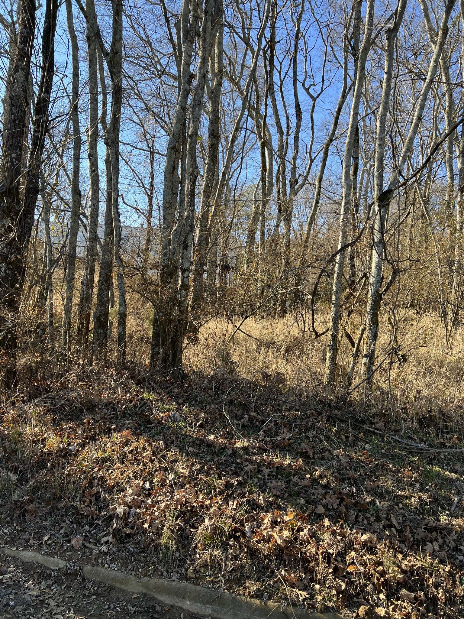 Pulaski, TN 38478,0 Sumpter St