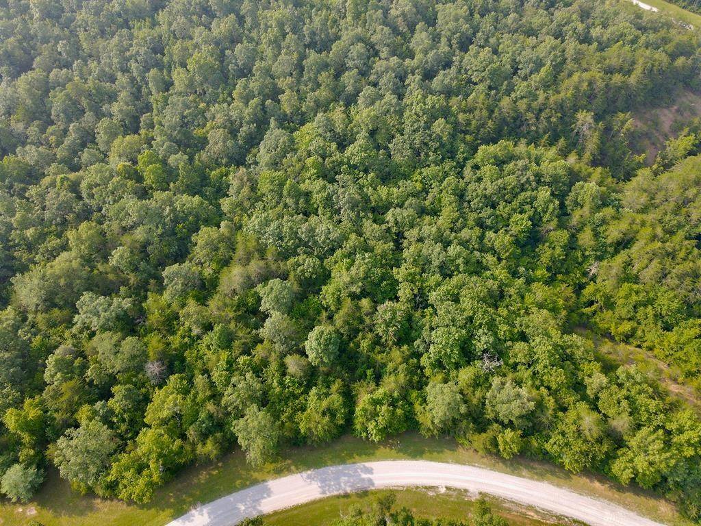 Spencer, TN 38585,0 Long Branch Rd