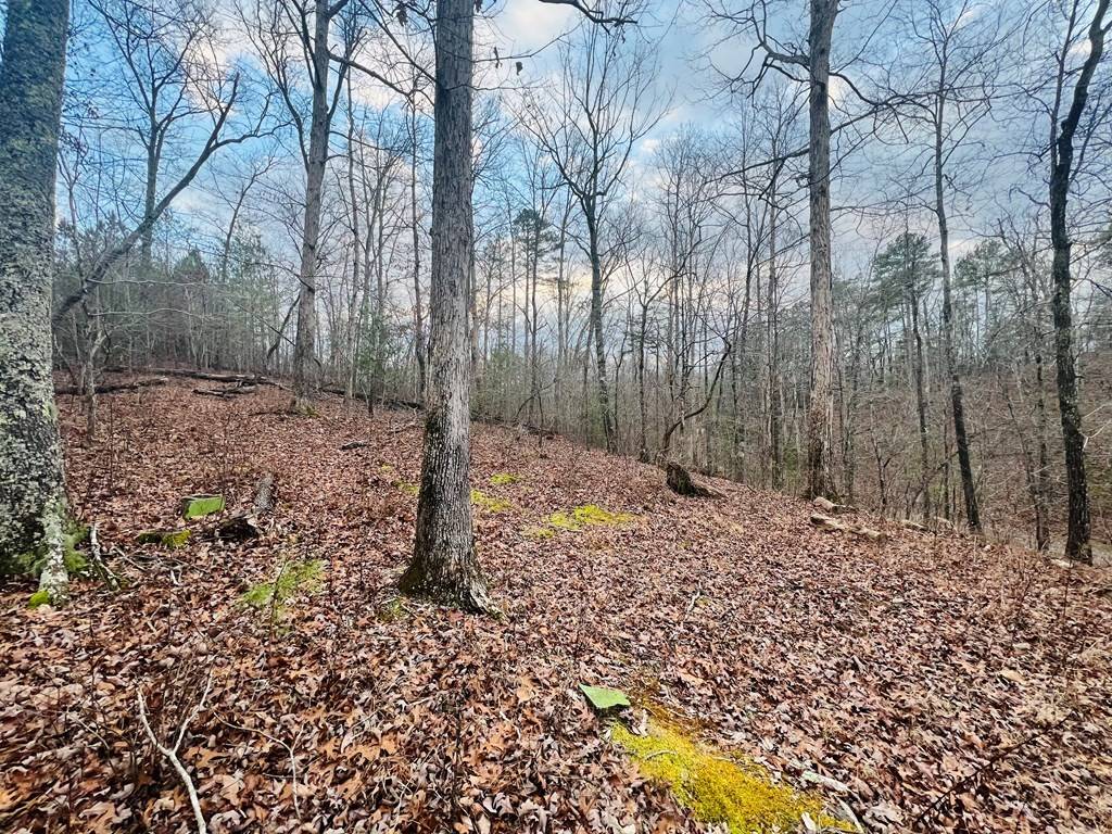 Chatsworth, GA 30705,870 Sugar Hollow Road