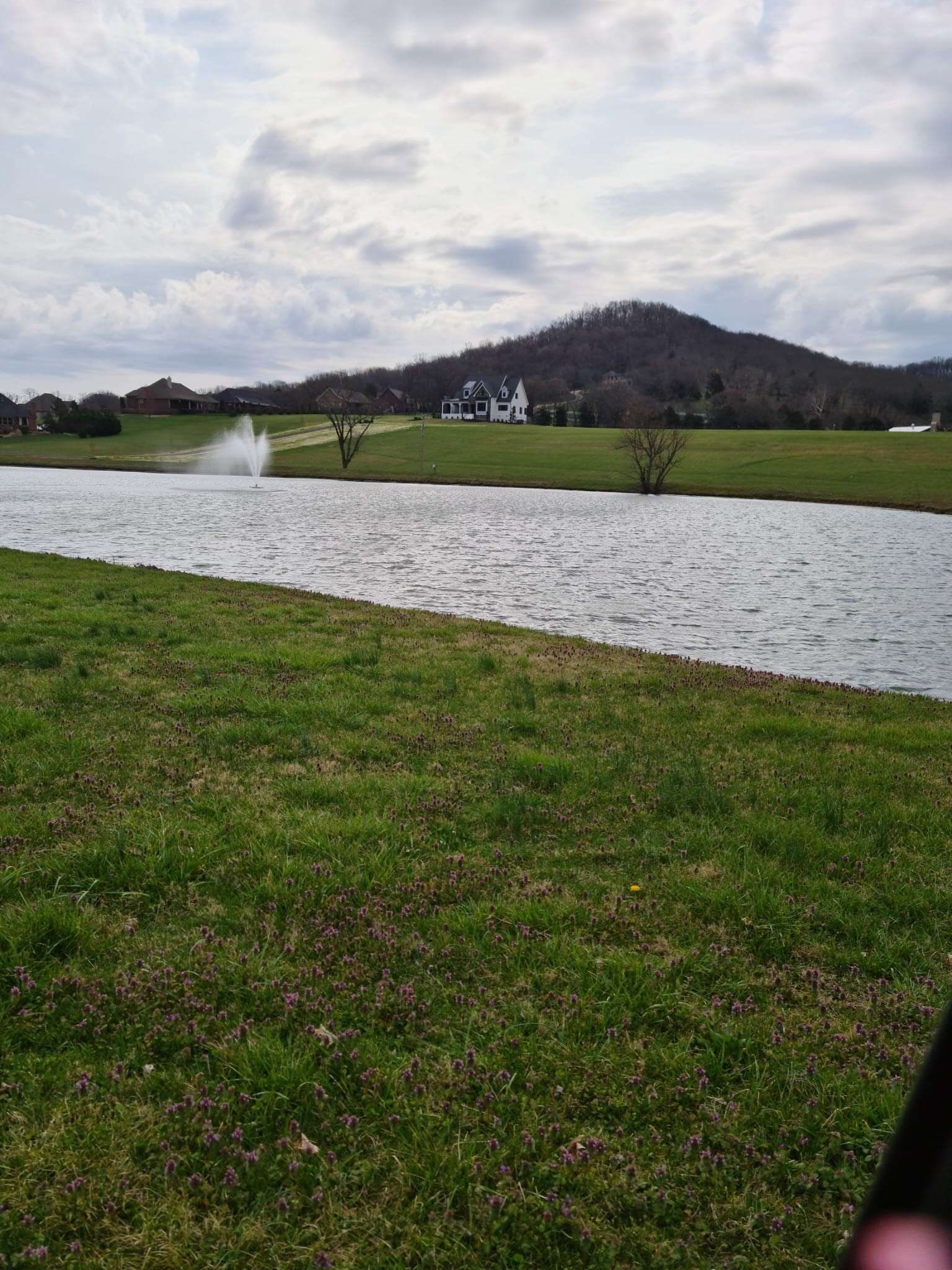 Eagleville, TN 37060,2075 Allisona Rd