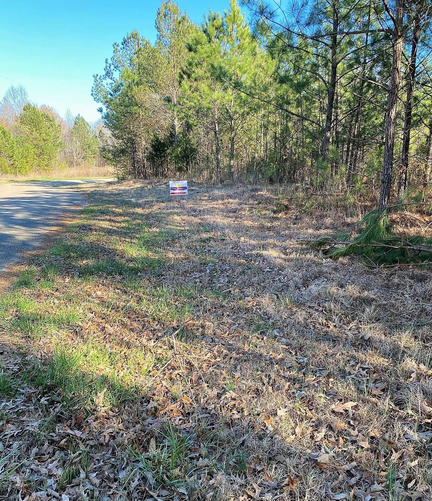 Holladay, TN 38341,4119 Conrad Ridge Rd