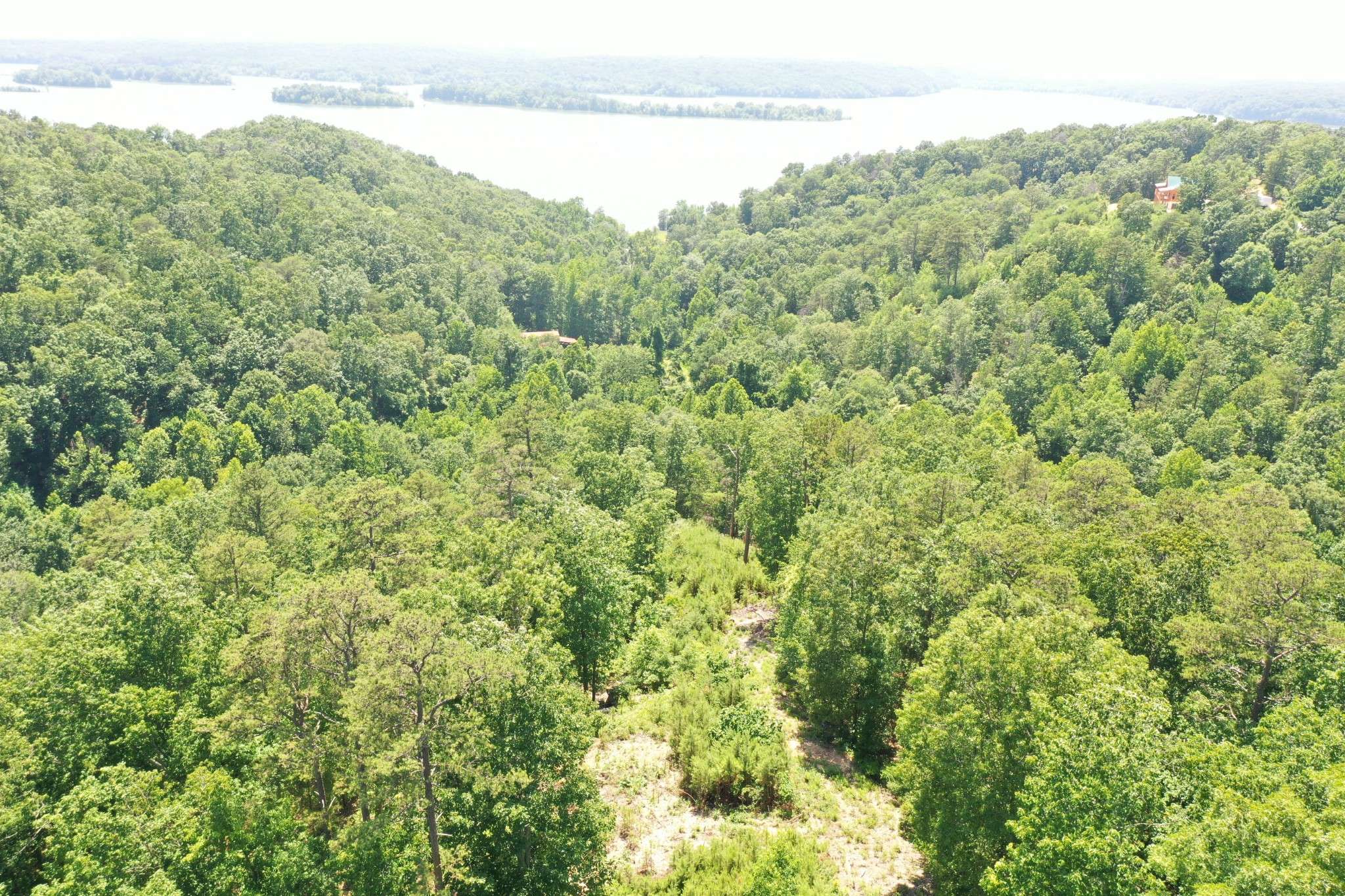 Waverly, TN 37185,595 Old Skyline Drive