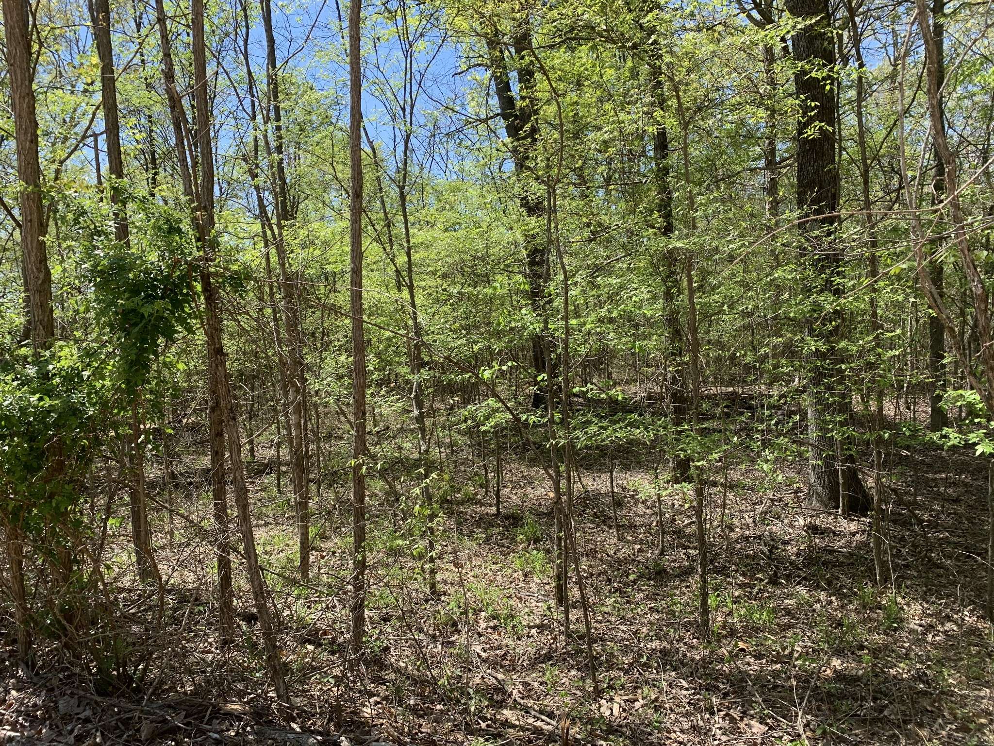 Bath Springs, TN 38311,0 Eagles Nest Landing Ln