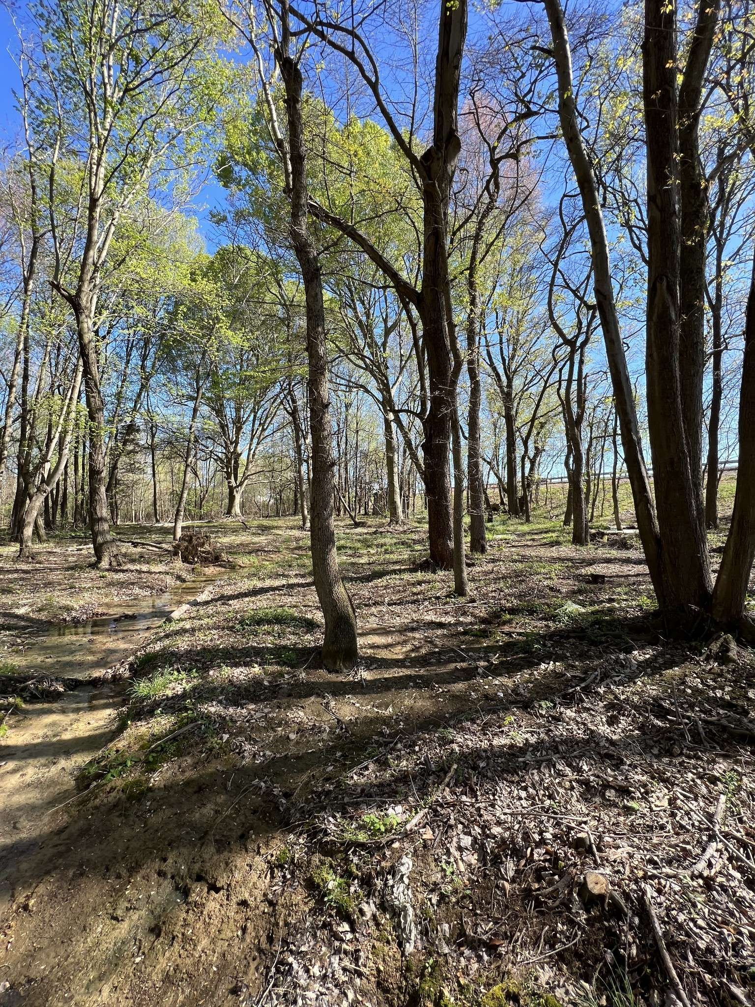 Lafayette, TN 37083,22 Highway 52E