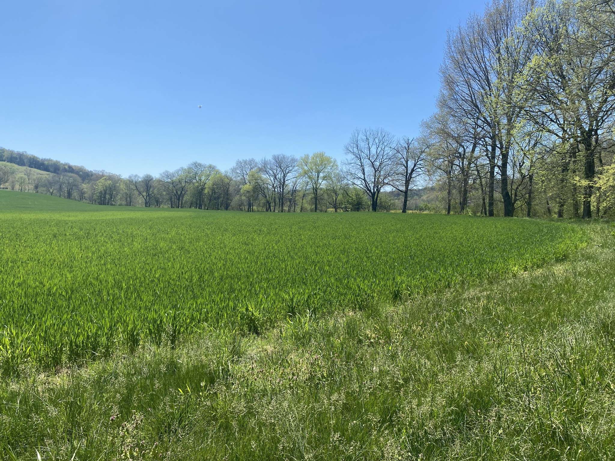 Liberty, TN 37095,4317 Smith Fork Rd