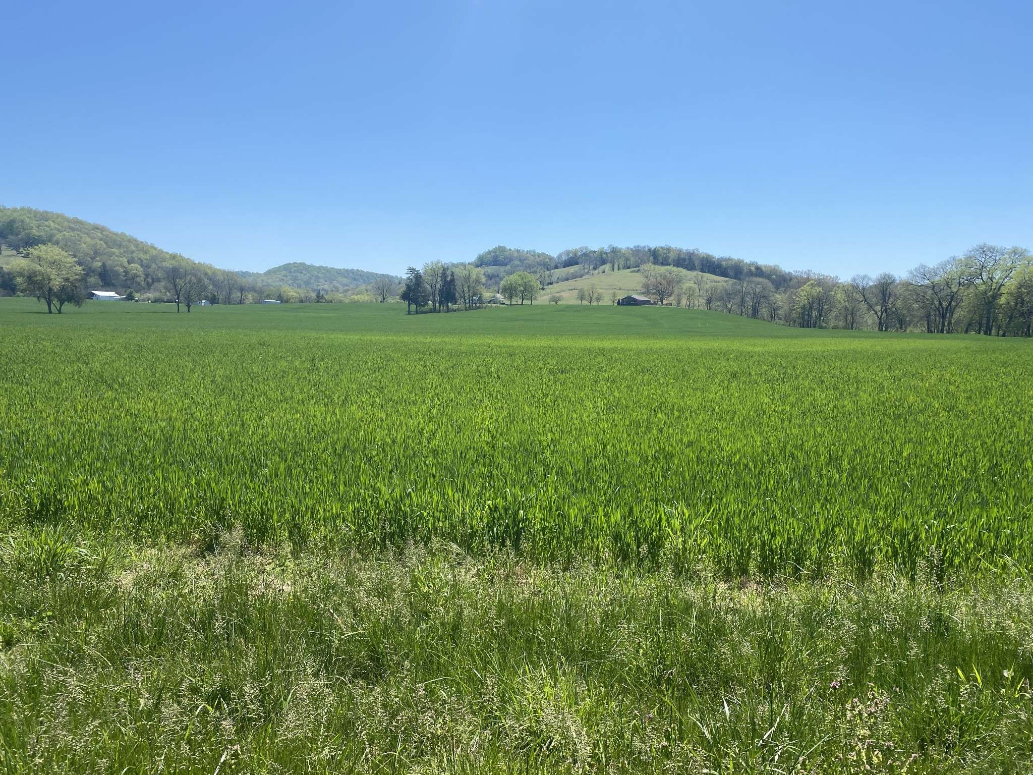 Liberty, TN 37095,4317 Smith Fork Rd