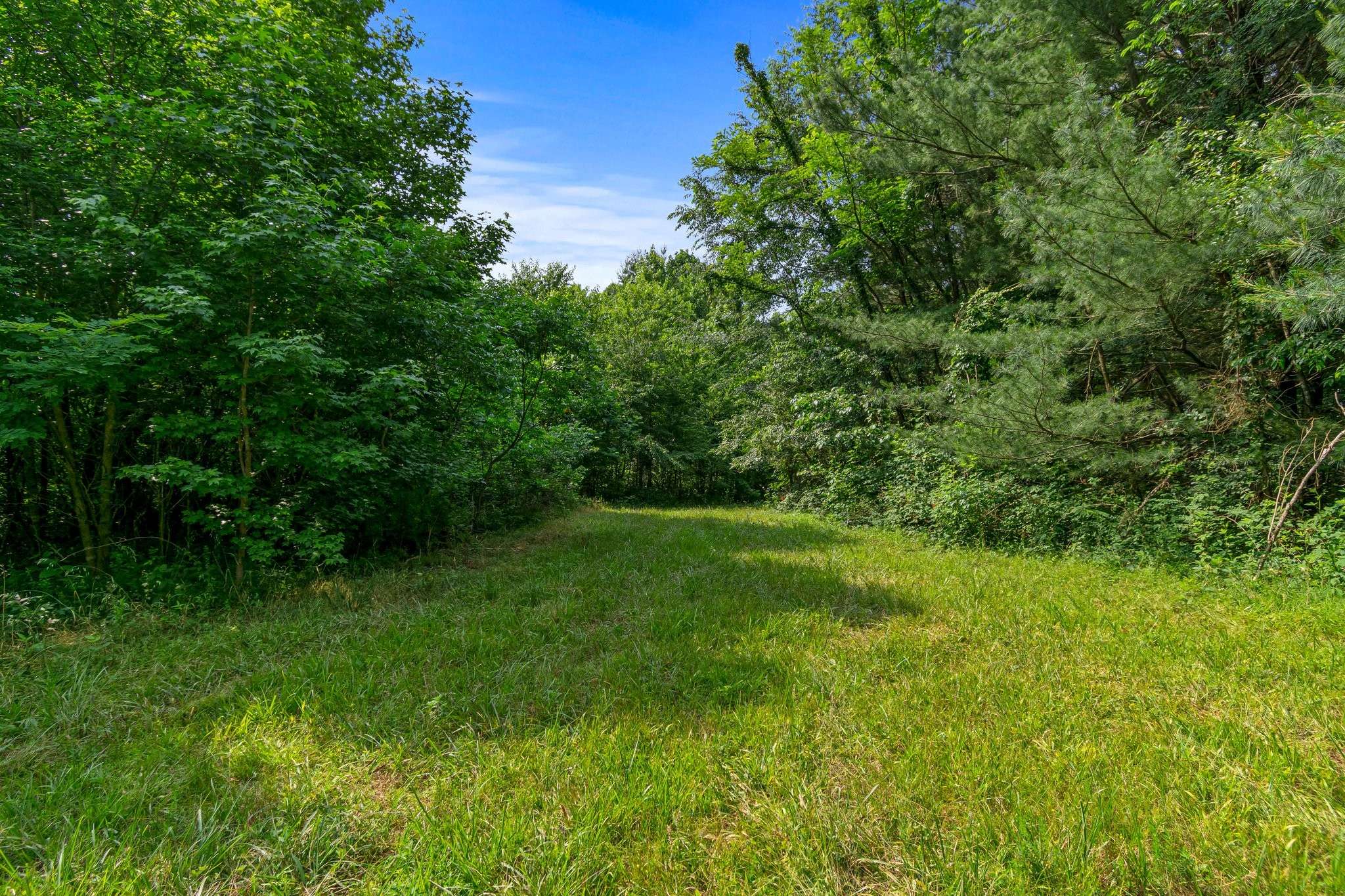 Mount Pleasant, TN 38474,0 Smith Hollow Road