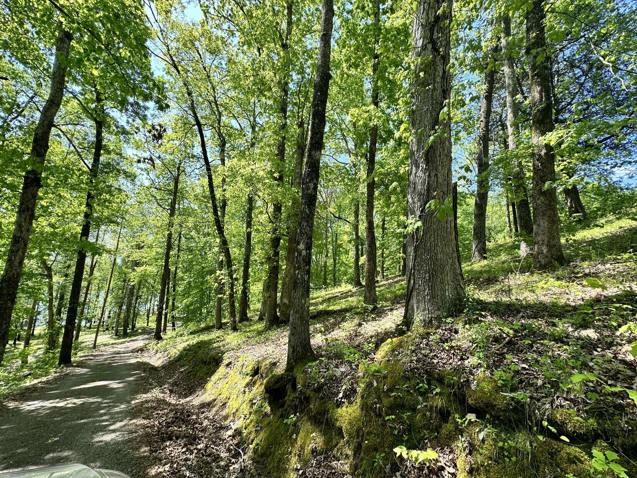Parsons, TN 38363,14 Kilo Ford Road