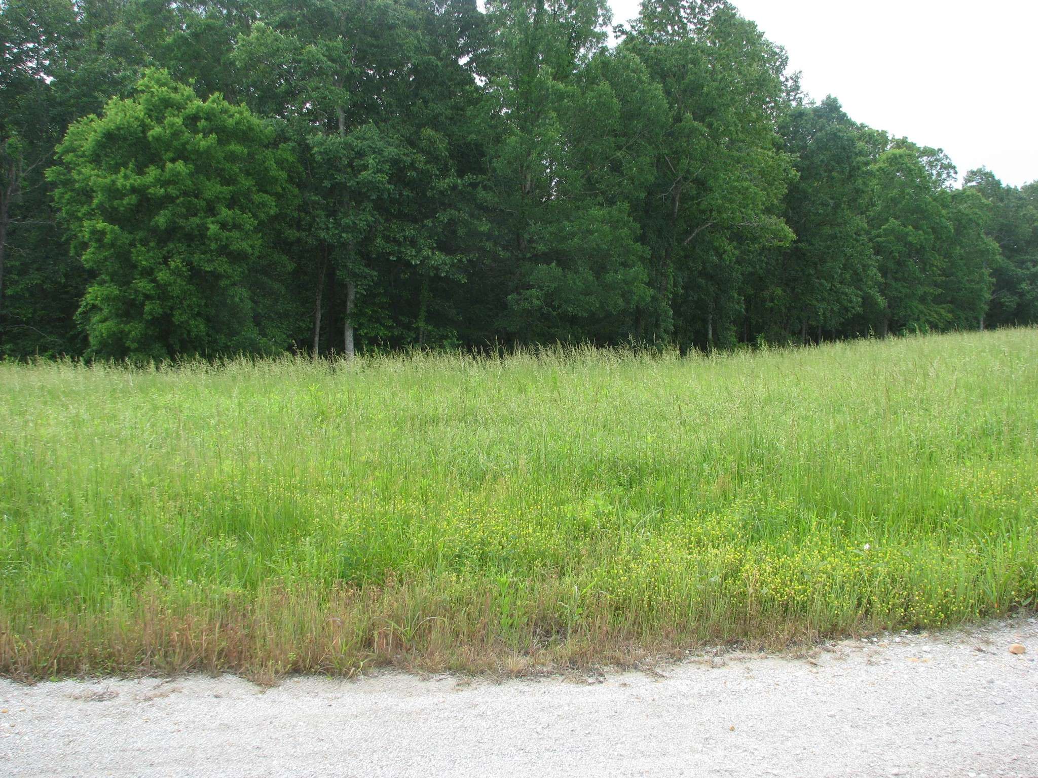 Waverly, TN 37185,0 Barge Lane