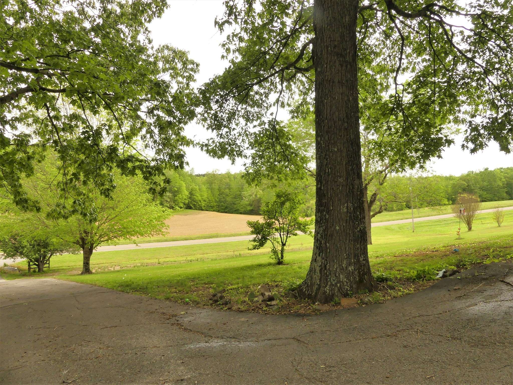 Reagan, TN 38368,6675 Highway 100