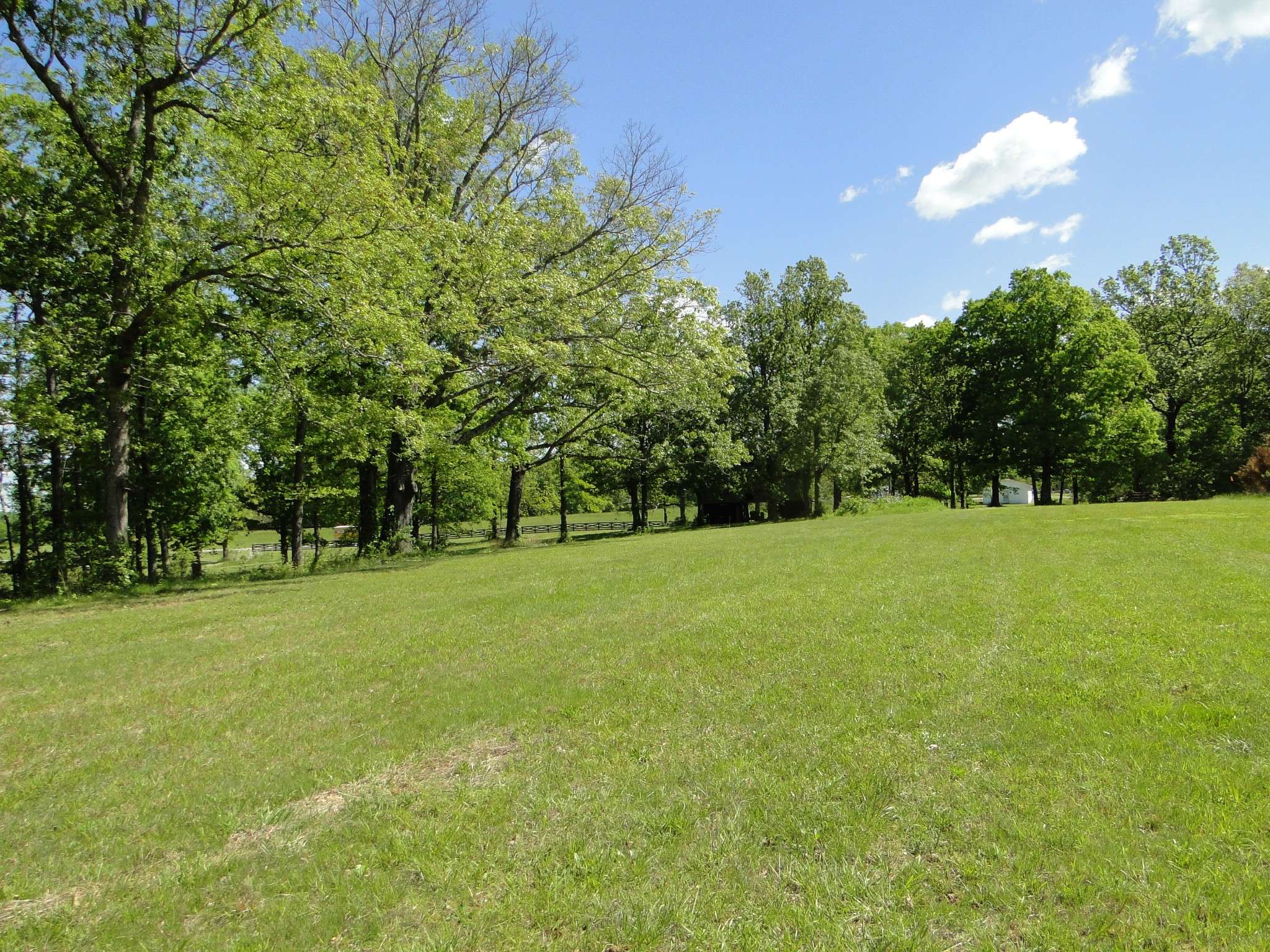 Primm Springs, TN 38476,0 Pinewood Rd