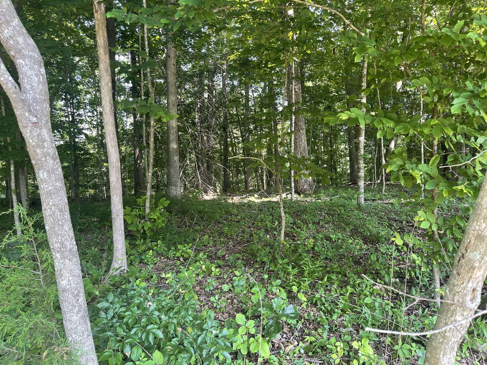 Manchester, TN 37355,0 Laurel Crown Rd