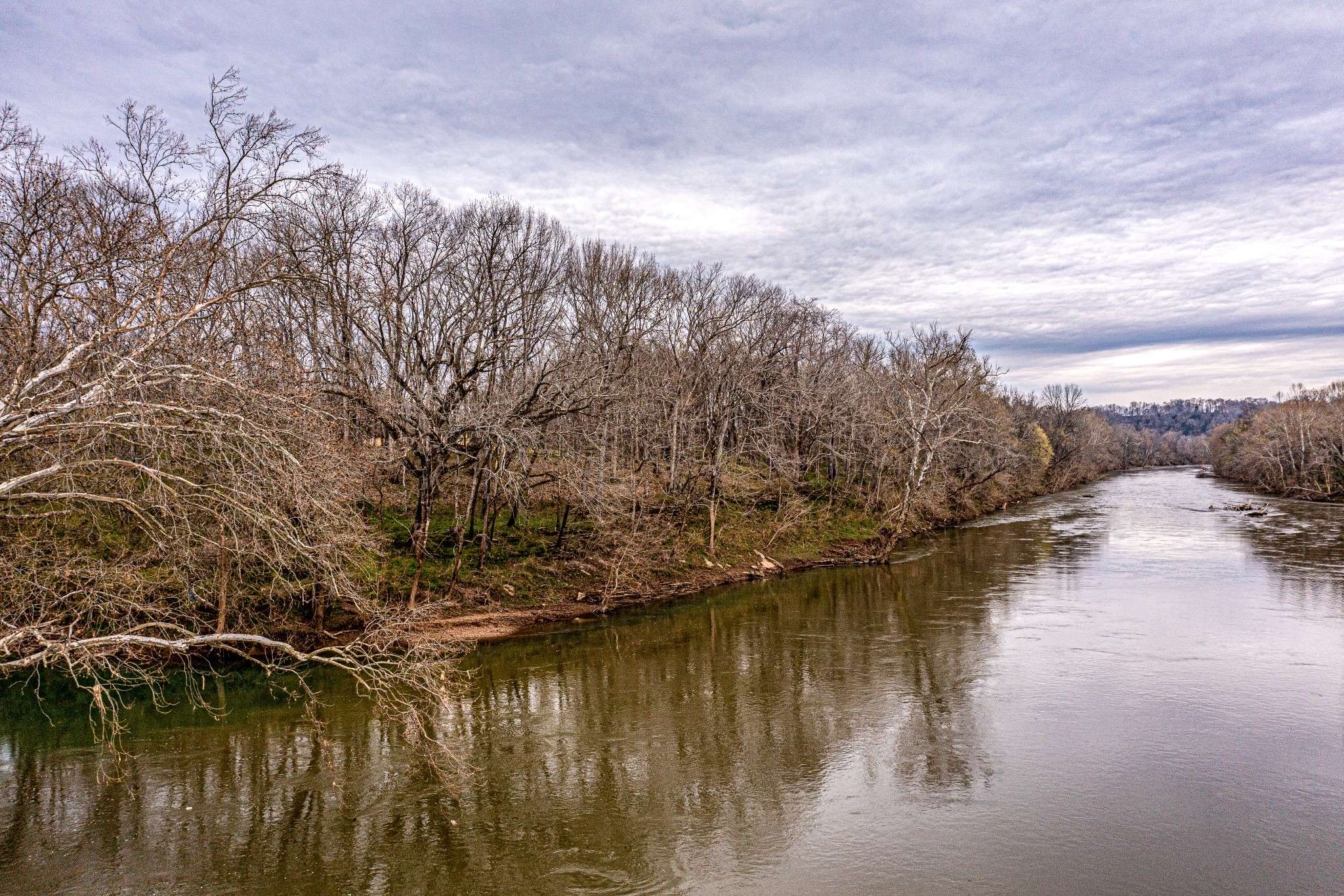 Mount Pleasant, TN 38474,3904 Dale Ln