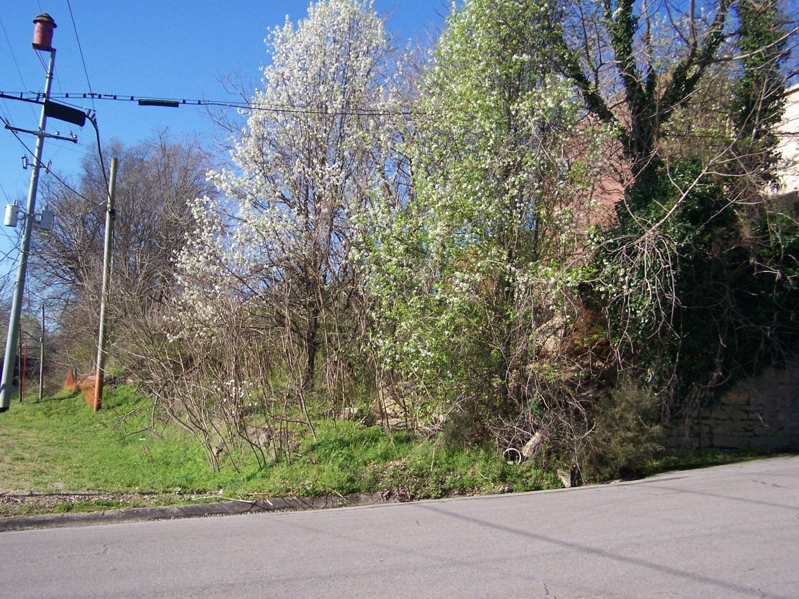 Pulaski, TN 38478,0 E Madison St