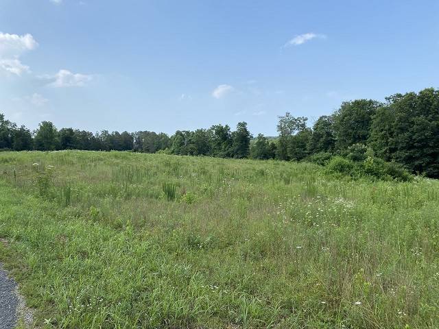 Parsons, TN 38363,0 Lindsey Rd