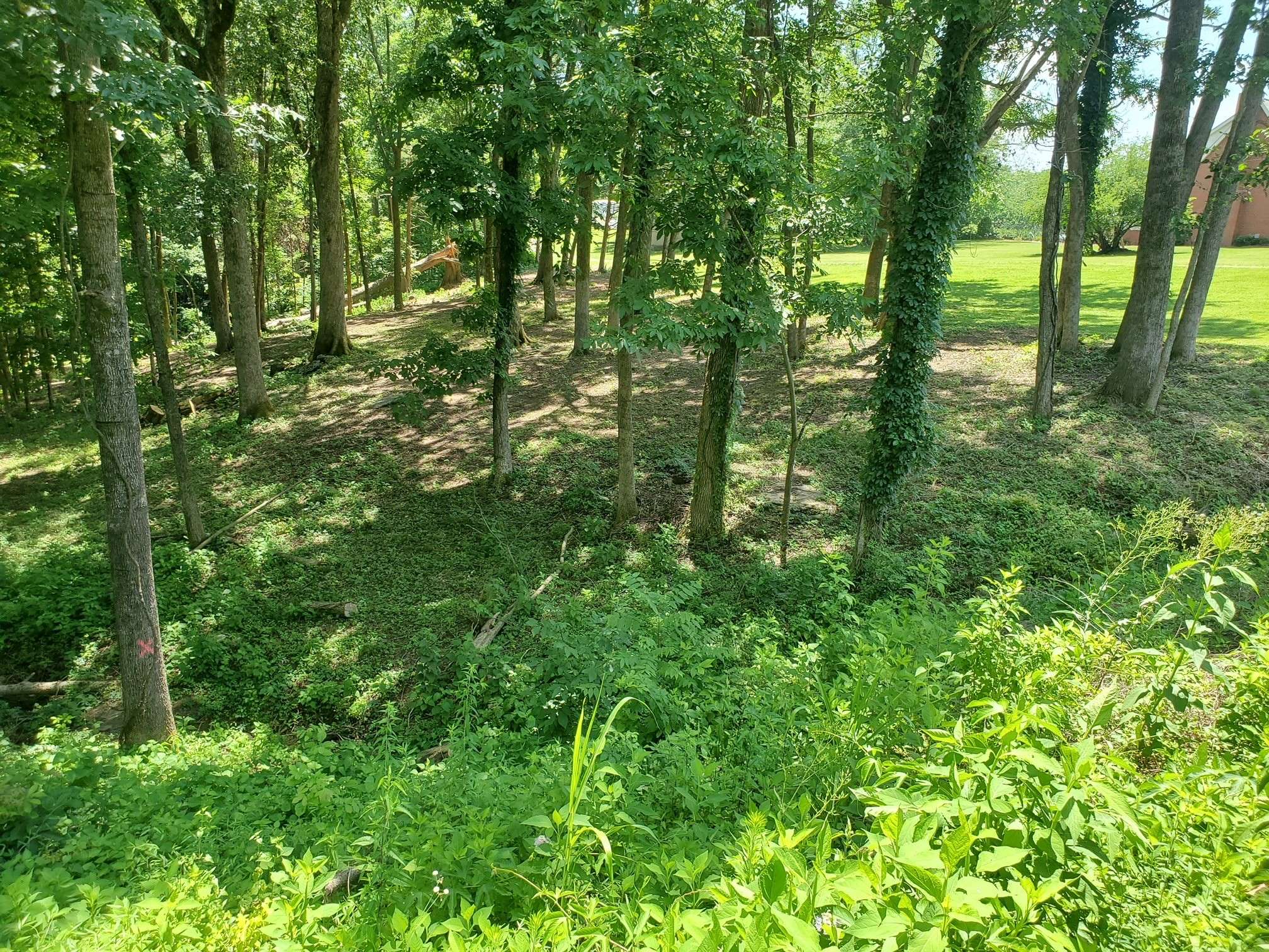 Lebanon, TN 37087,1930 Arlington Rd