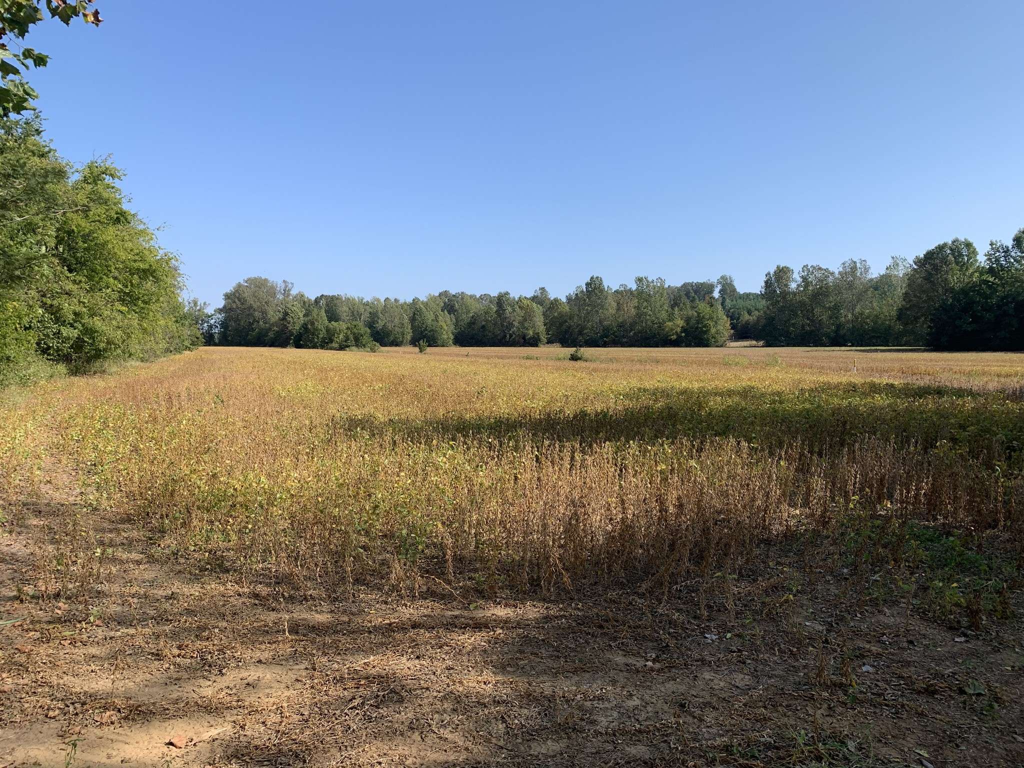 Enville, TN 38332,0 Hardin Graveyard Rd