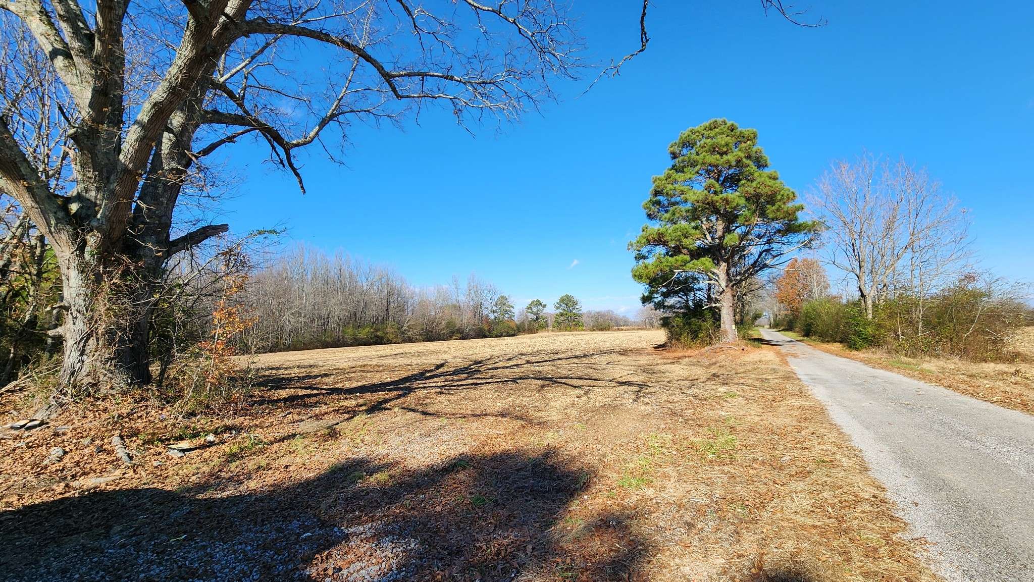 Smithville, TN 37166,0 Twilla Lane