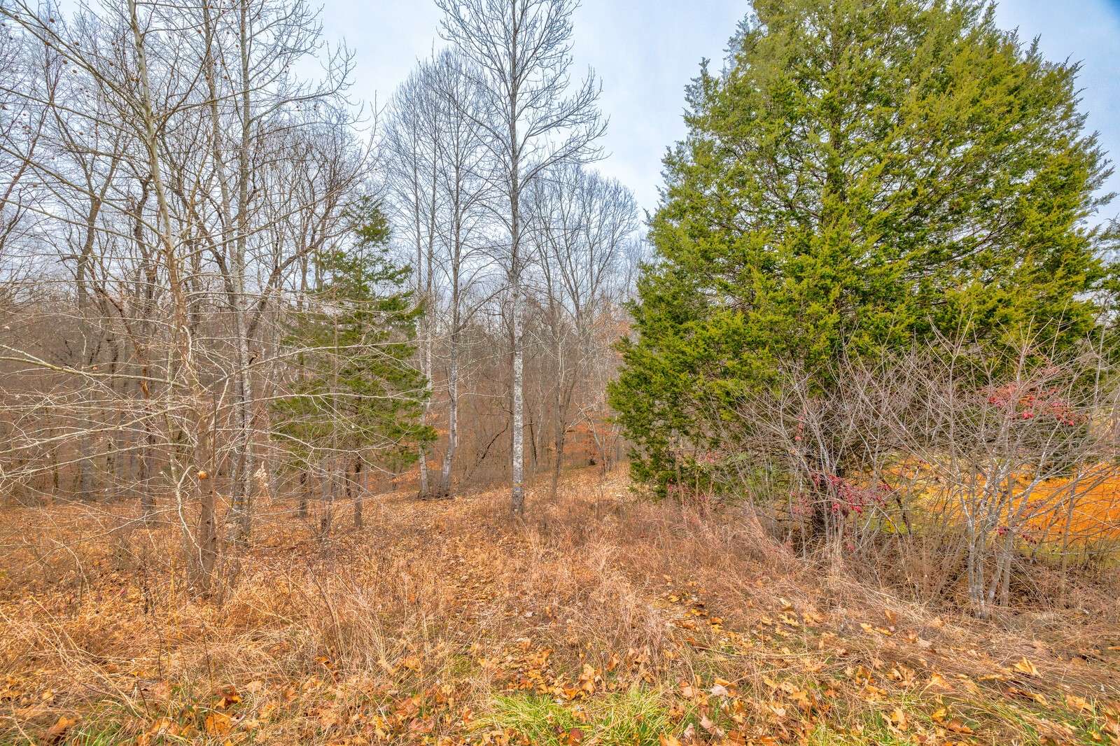 Joelton, TN 37080,1104 Jacobs Ct