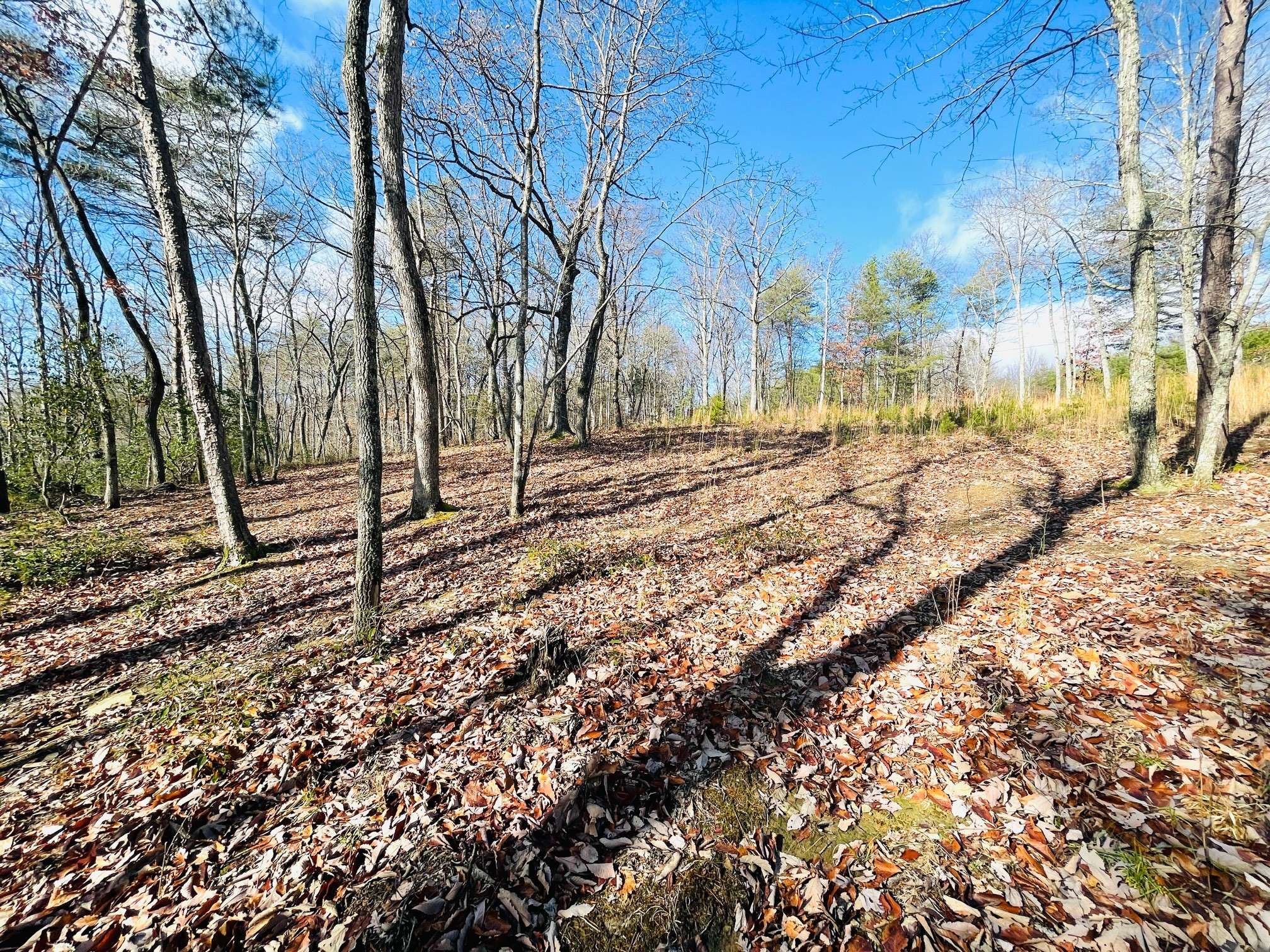 Spencer, TN 38585,131 Mustang Dr