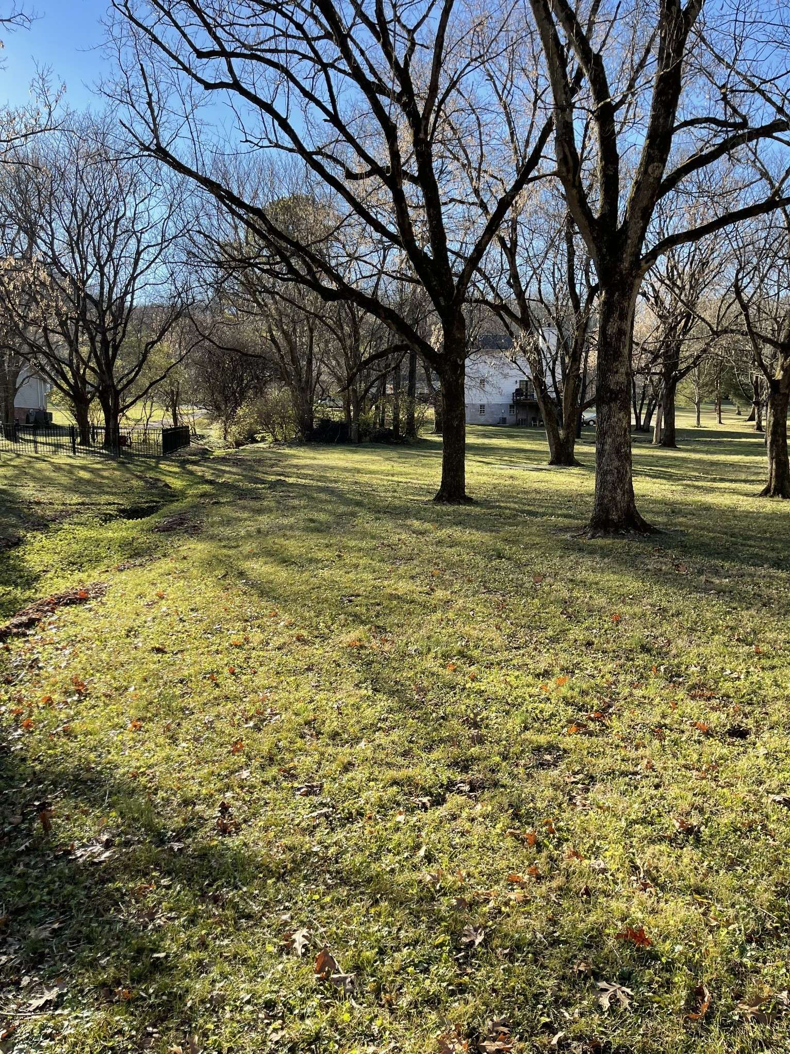 Brentwood, TN 37027,0 Holly Tree Gap