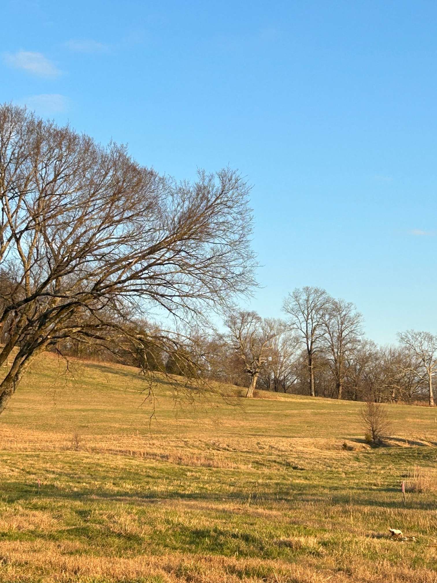 Hendersonville, TN 37075,1096 Pennington Pvt Way Lot 7