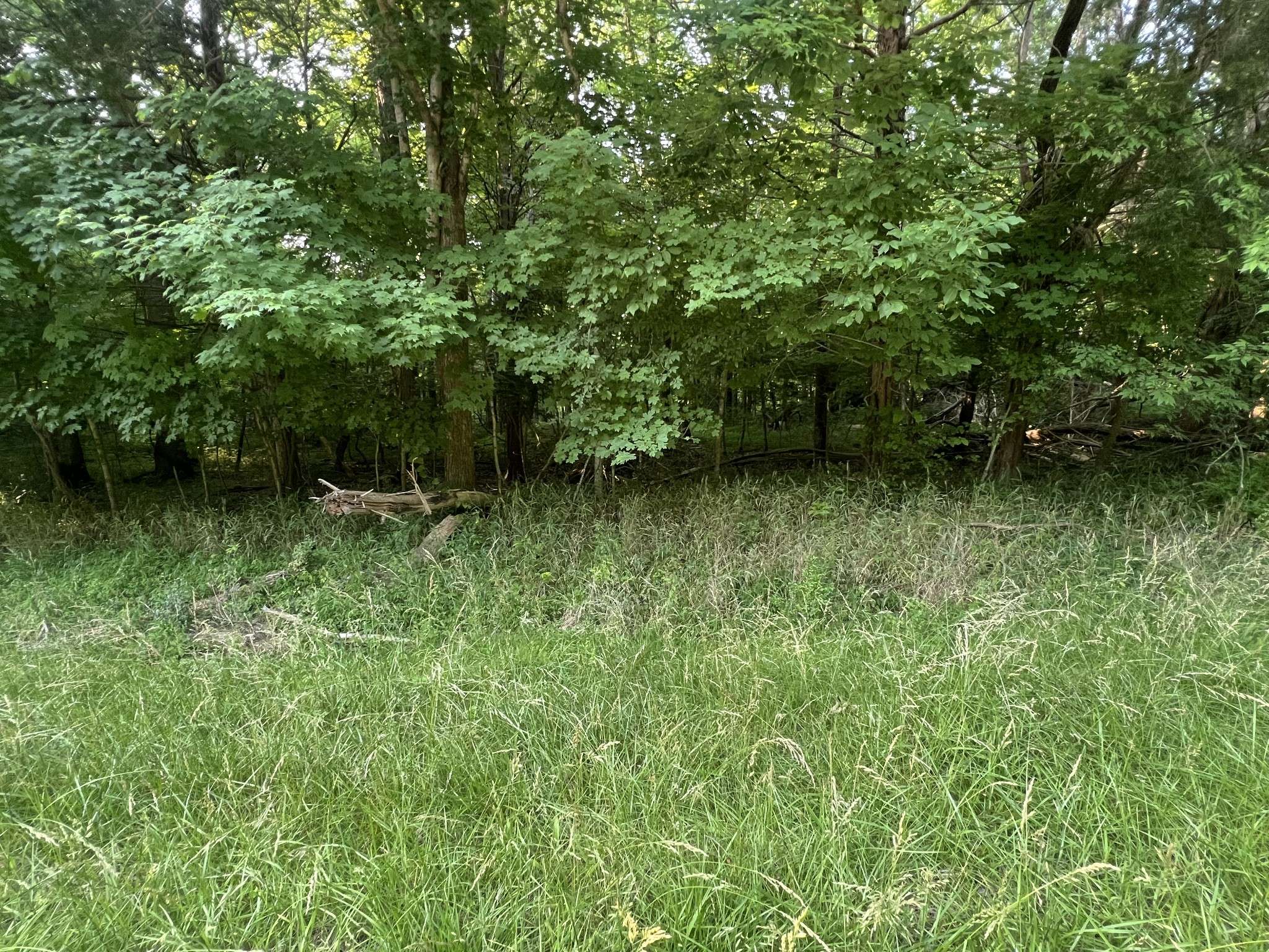 Clarksville, TN 37043,7 Jarrell Ridge Rd