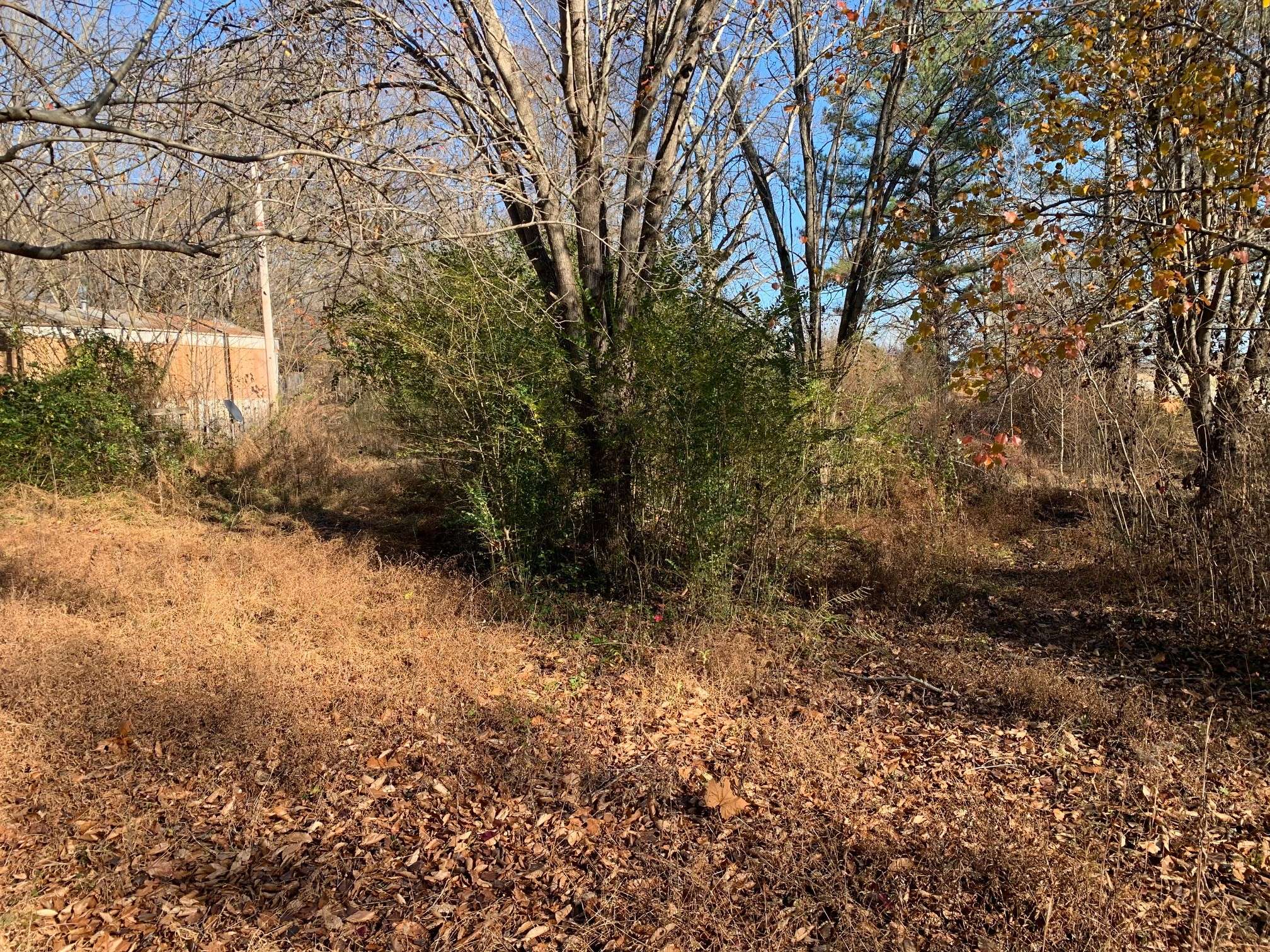 Big Sandy, TN 38221,1450 Tom White Rd