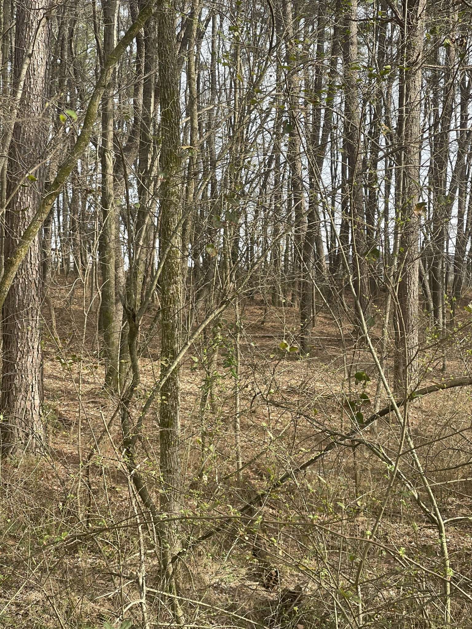 Portland, TN 37148,0 dobbins pike