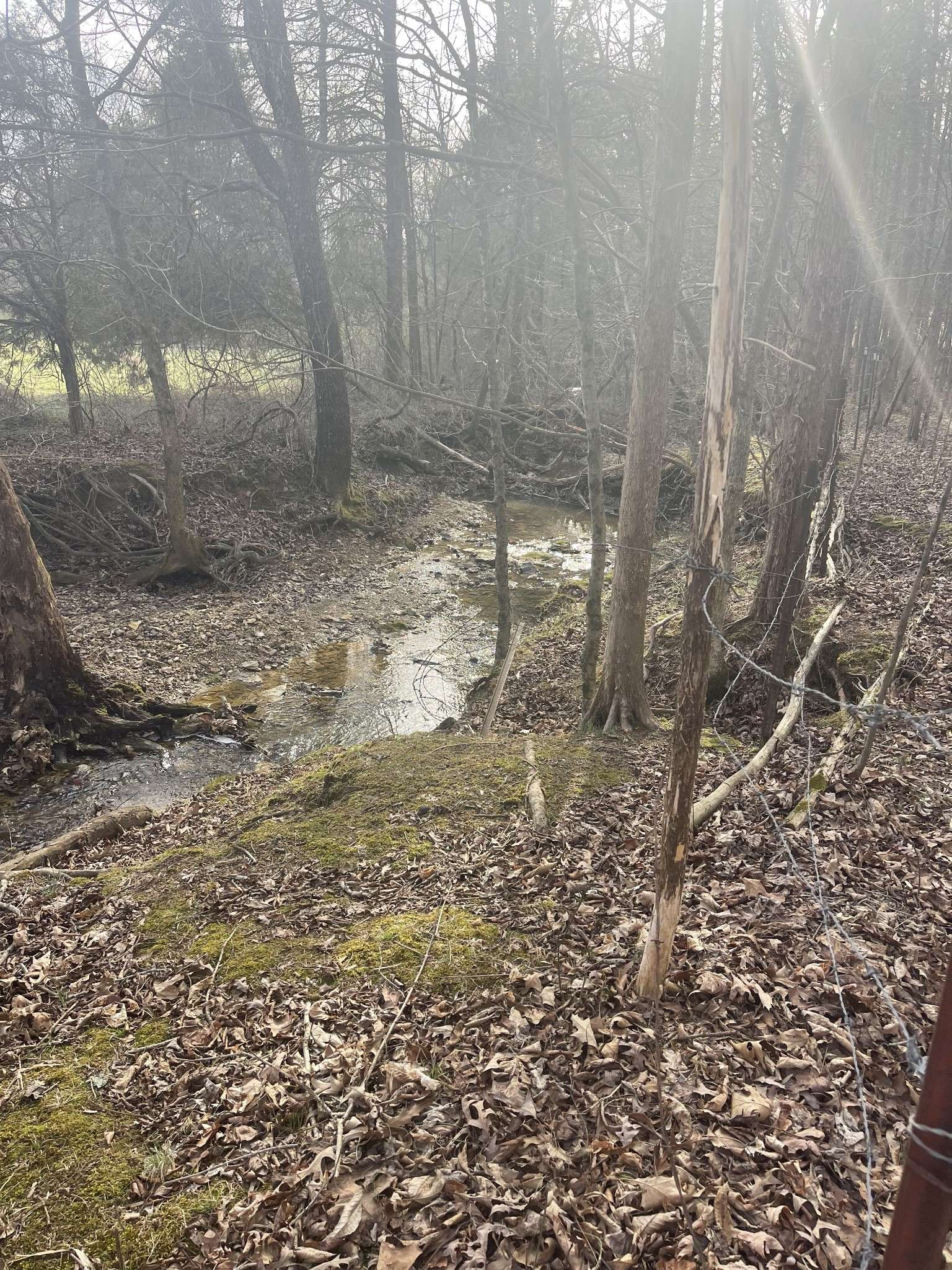 Portland, TN 37148,0 dobbins pike