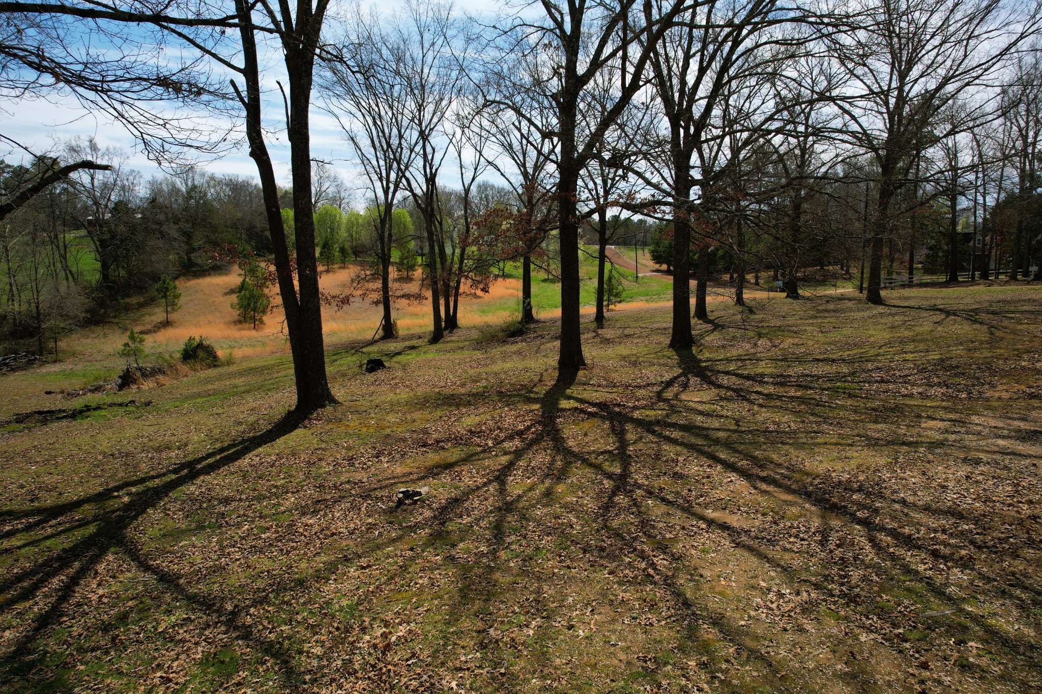 Paris, TN 38242,150 Tonya Ln