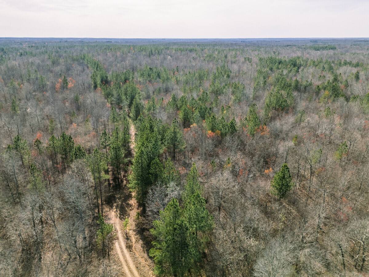 Big Sandy, TN 38221,0 Sulphur Creek Road