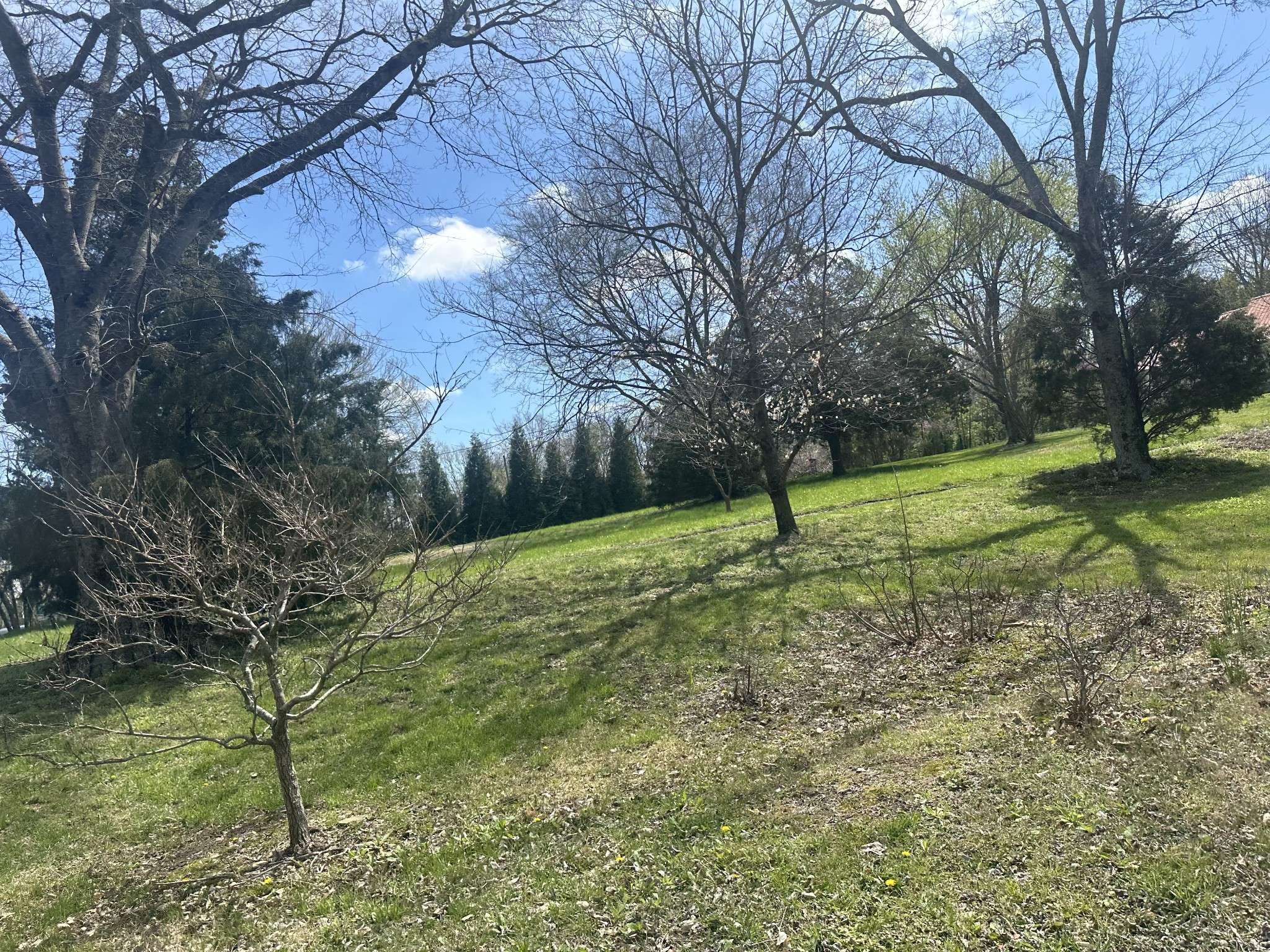 Mount Juliet, TN 37122,6400 Central Pike Lots 3 and 4