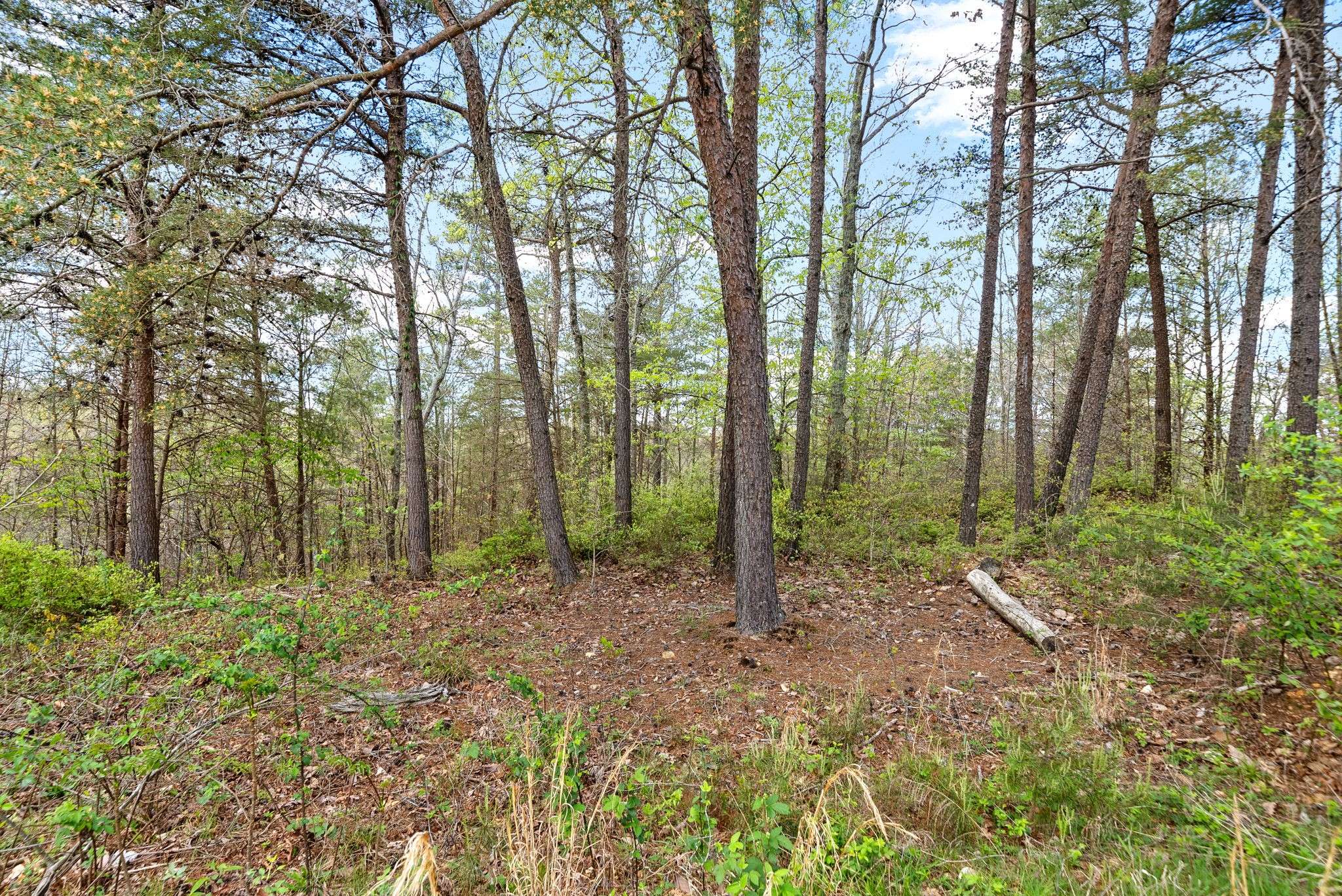 Waverly, TN 37185,0 Highwater Rd