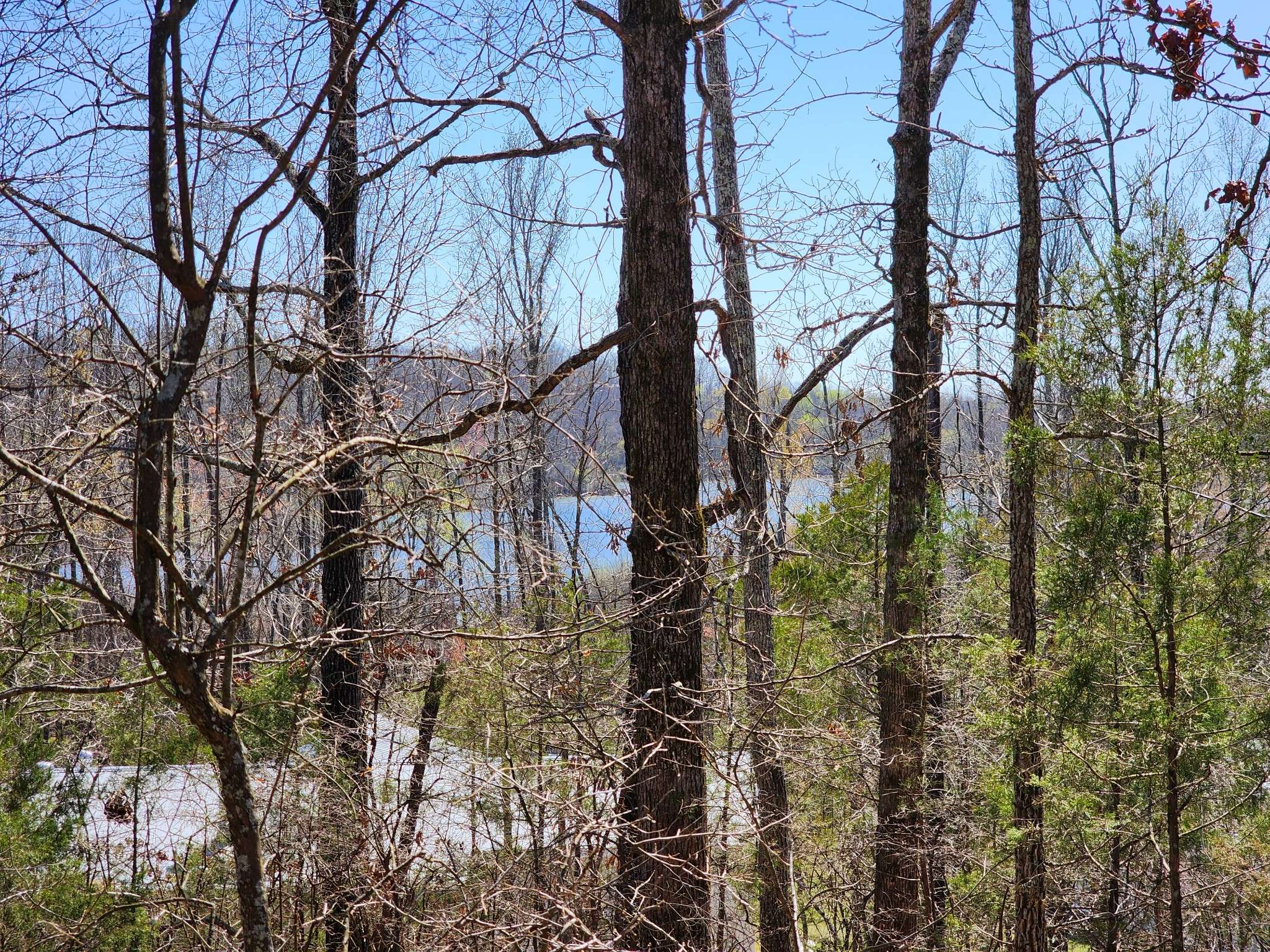 Lobelville, TN 37097,0 Honeysuckle Ln
