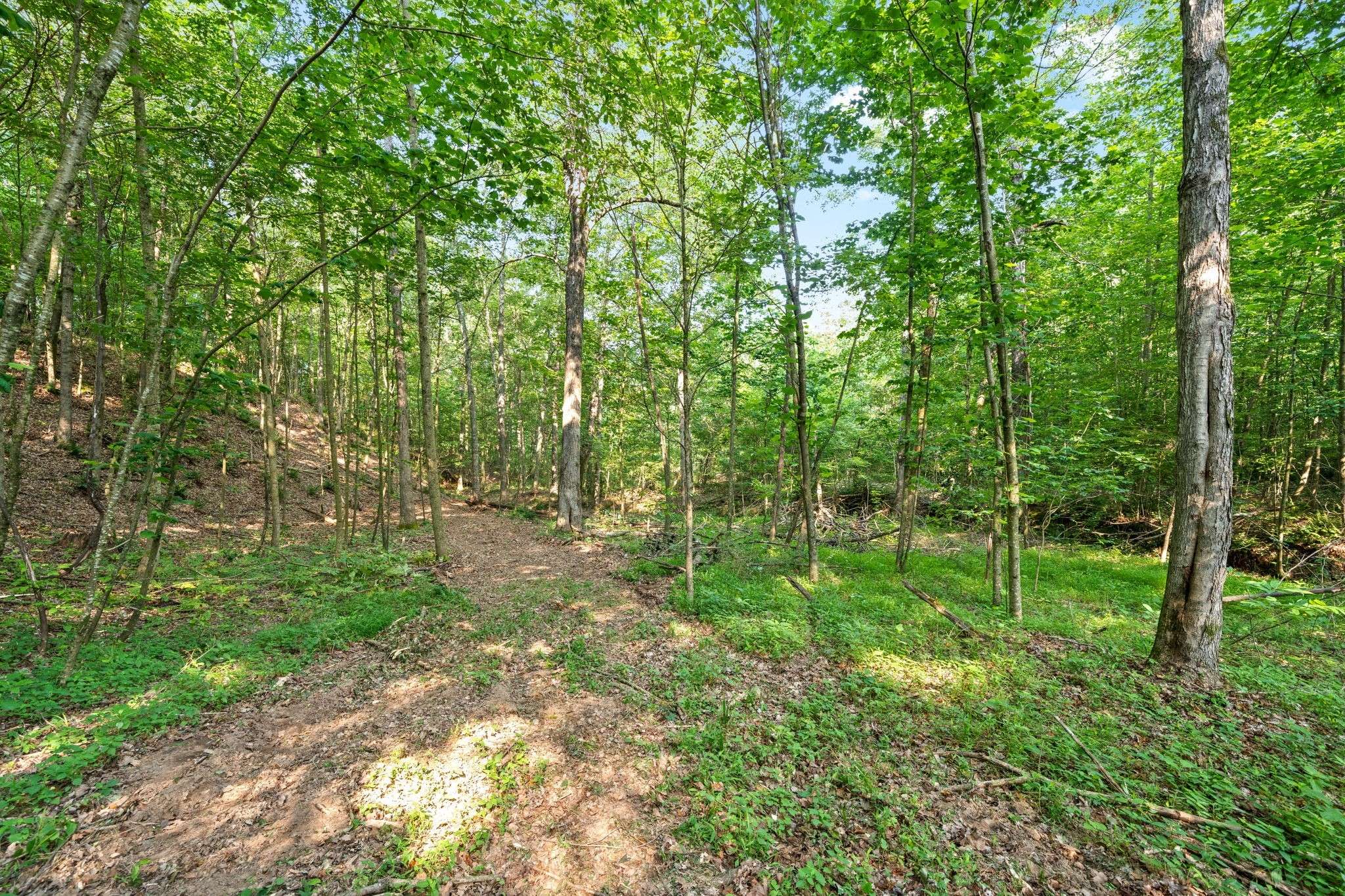 Cumberland City, TN 37050,1127 Herman Adams Road