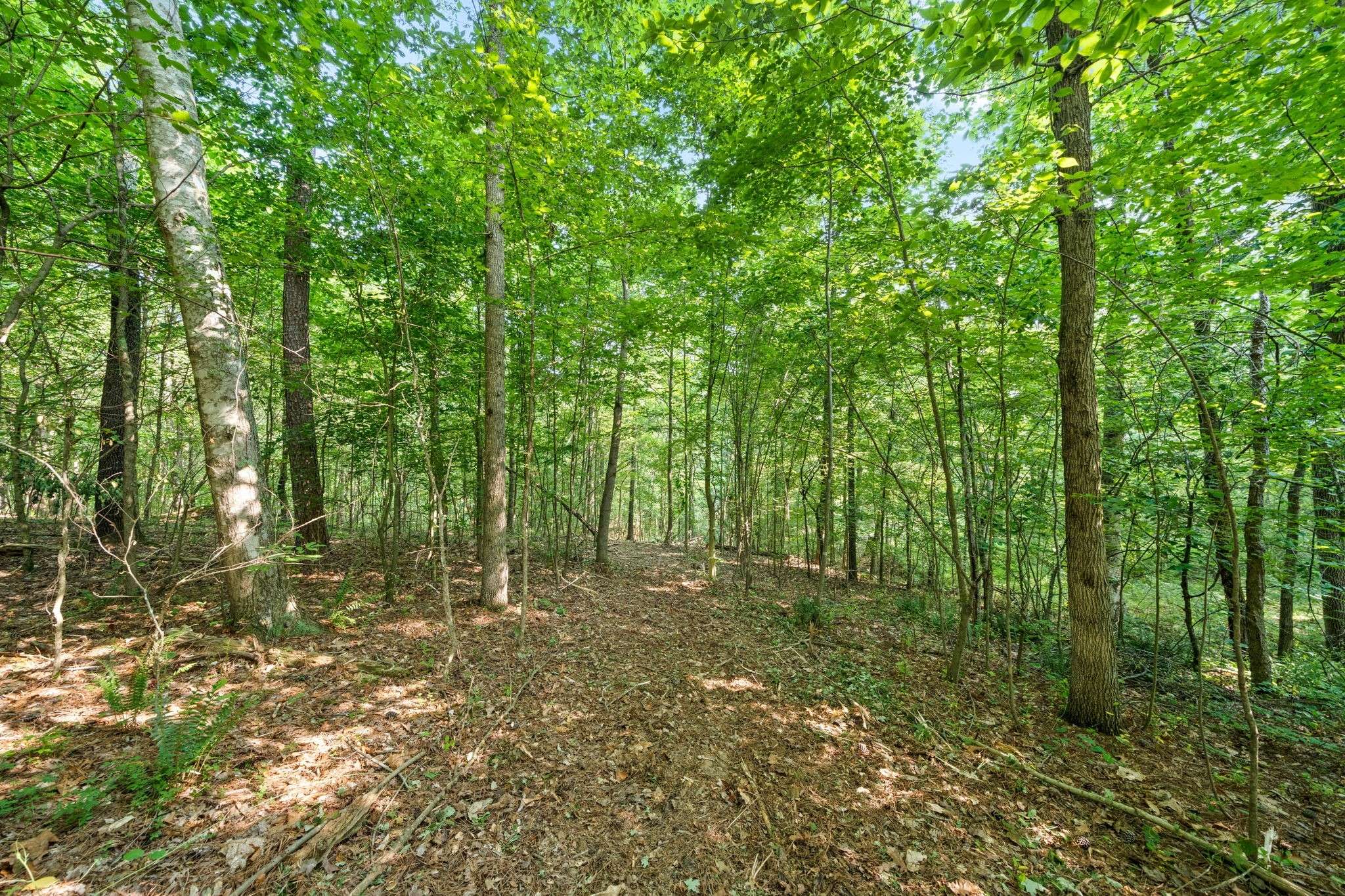 Cumberland City, TN 37050,1127 Herman Adams Road