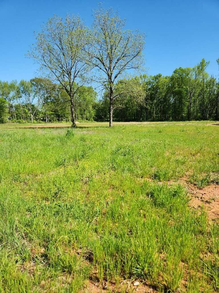 Huntland, TN 37345,109 Neal St