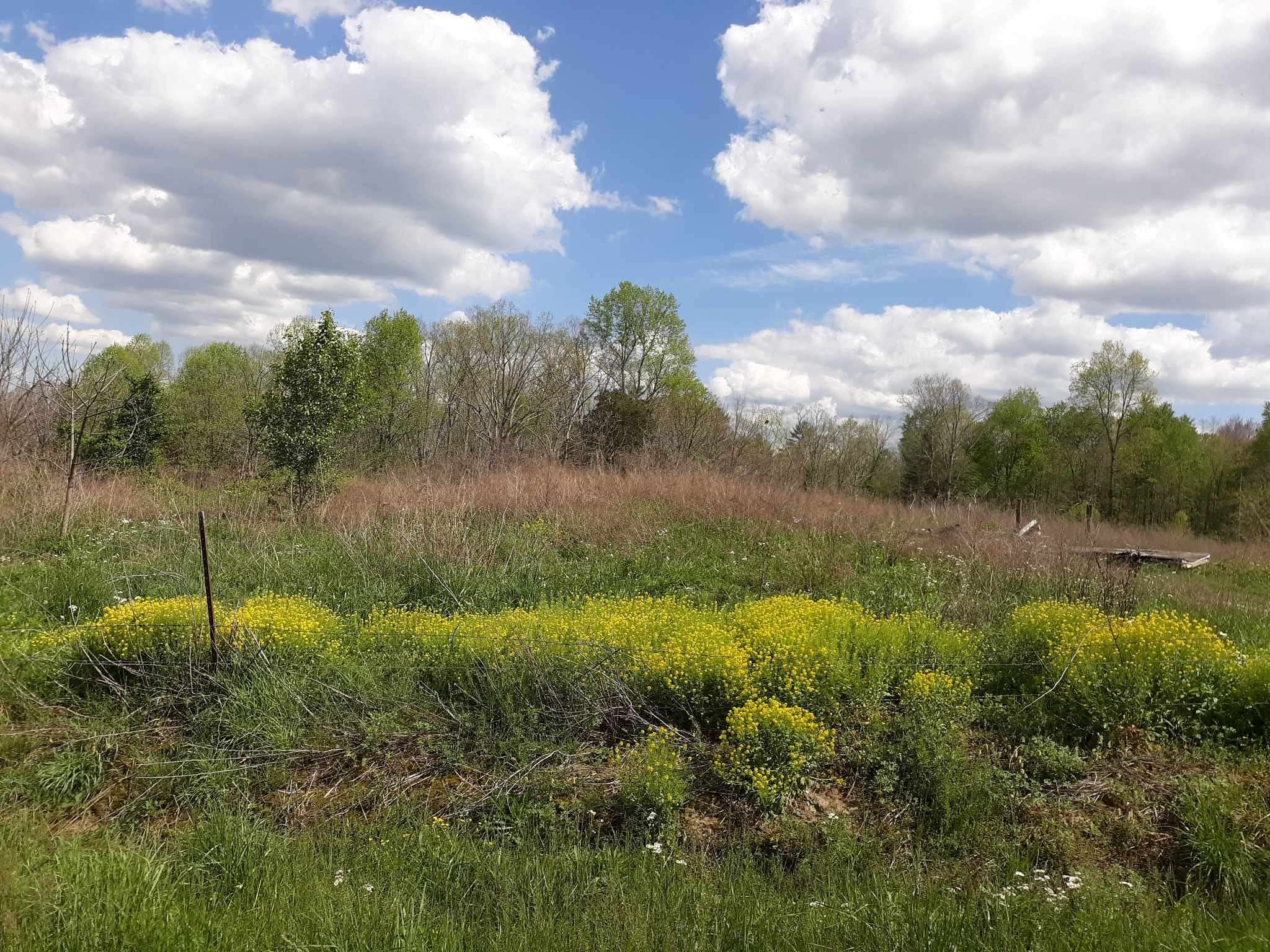 Allardt, TN 38504,5030 Mount Helen Rd