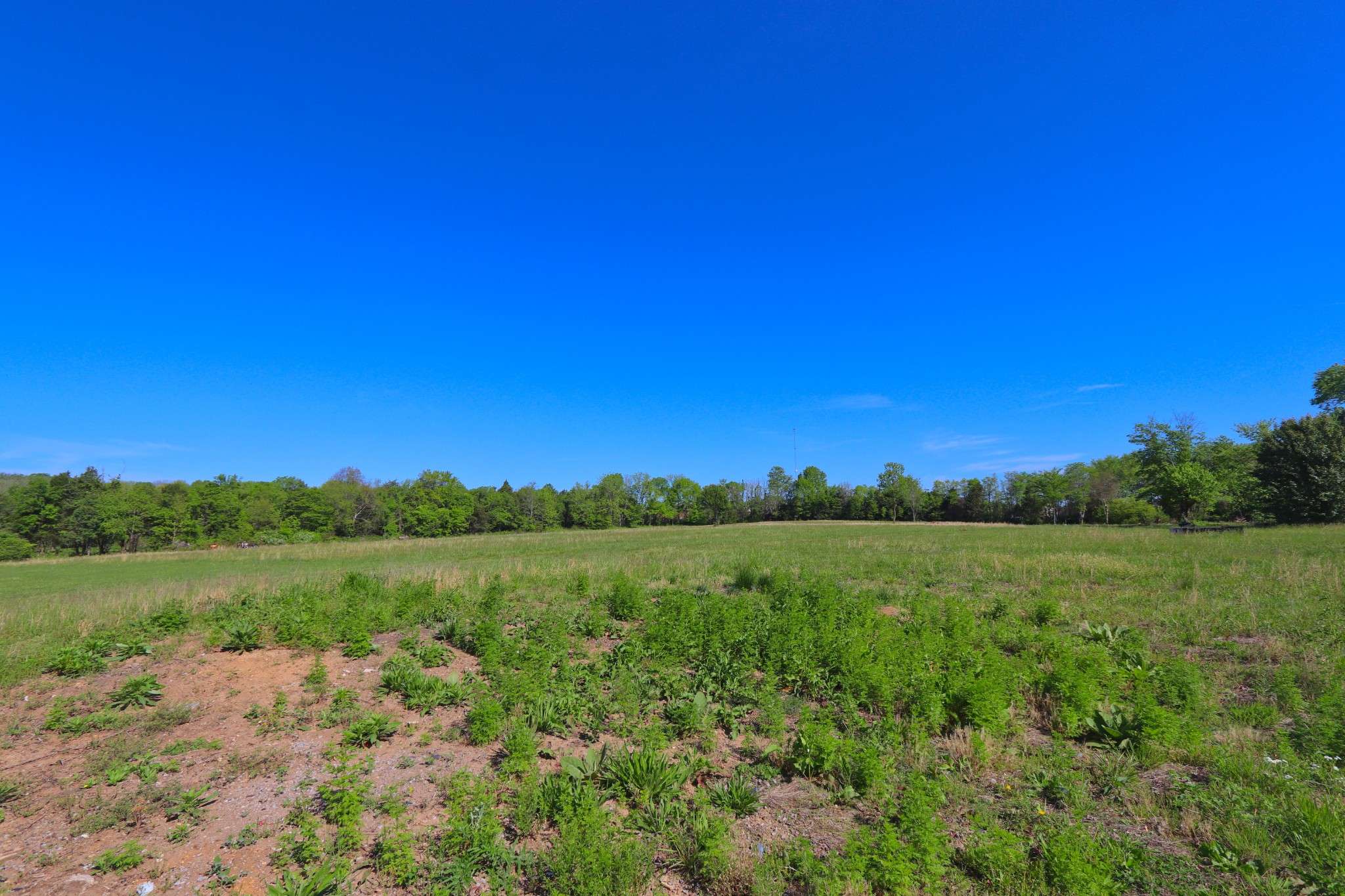 Lebanon, TN 37090,3135 Leeville Pike